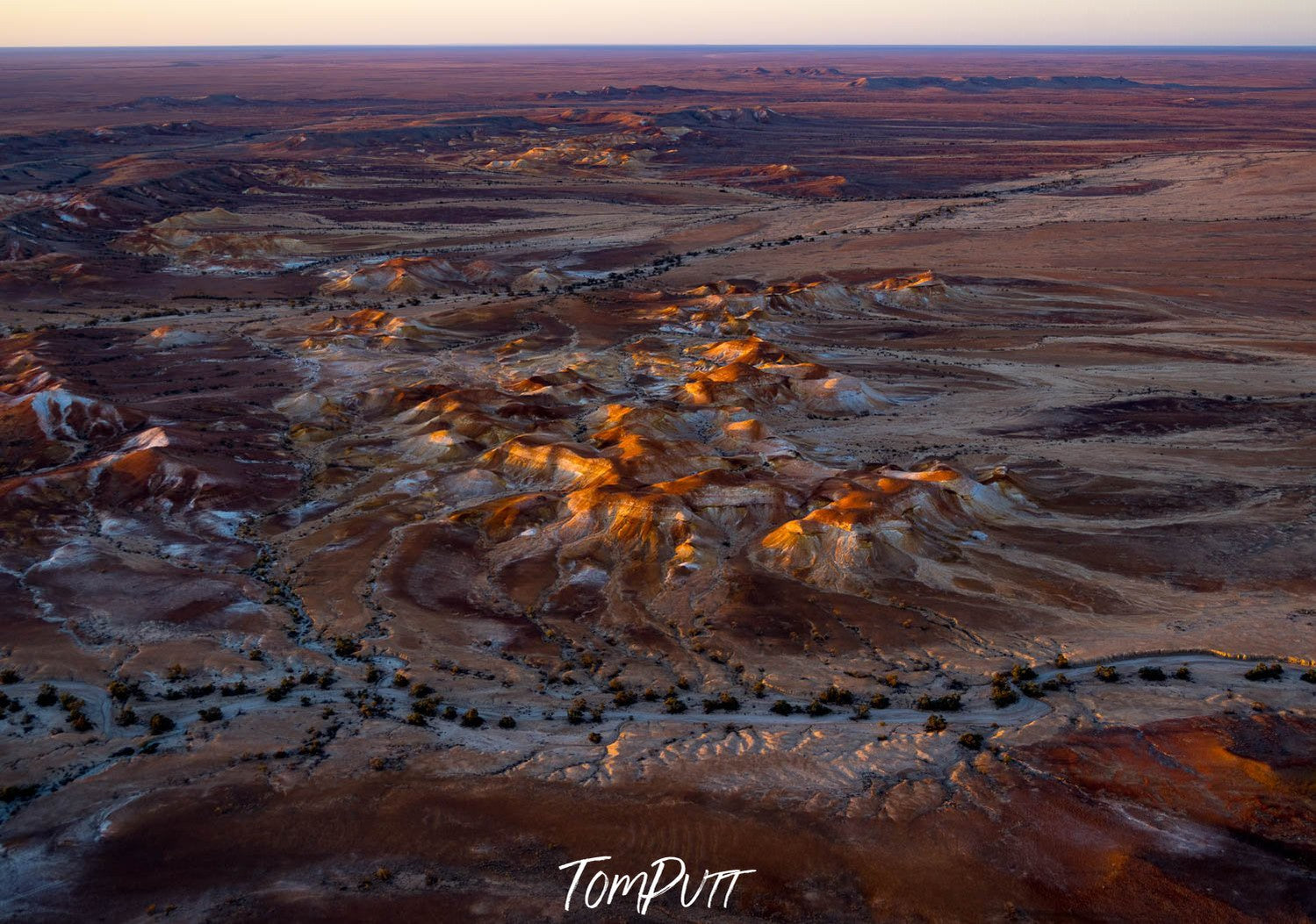 Aerial view of desert land with shiny golden mounds, and a road with small trees below, Painted Hills #37