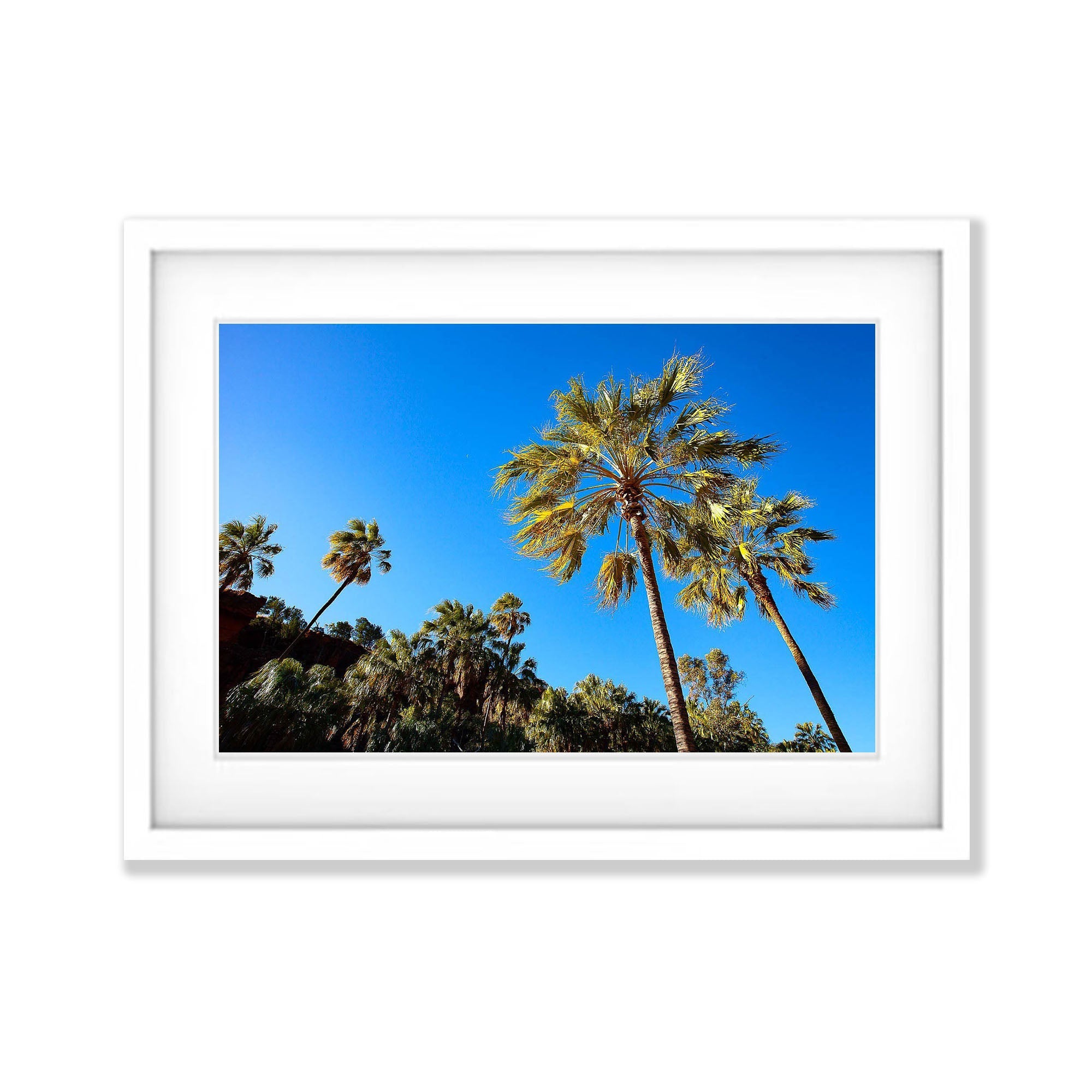 Palm Valley, Finke Gorge National Park - Northern Territory