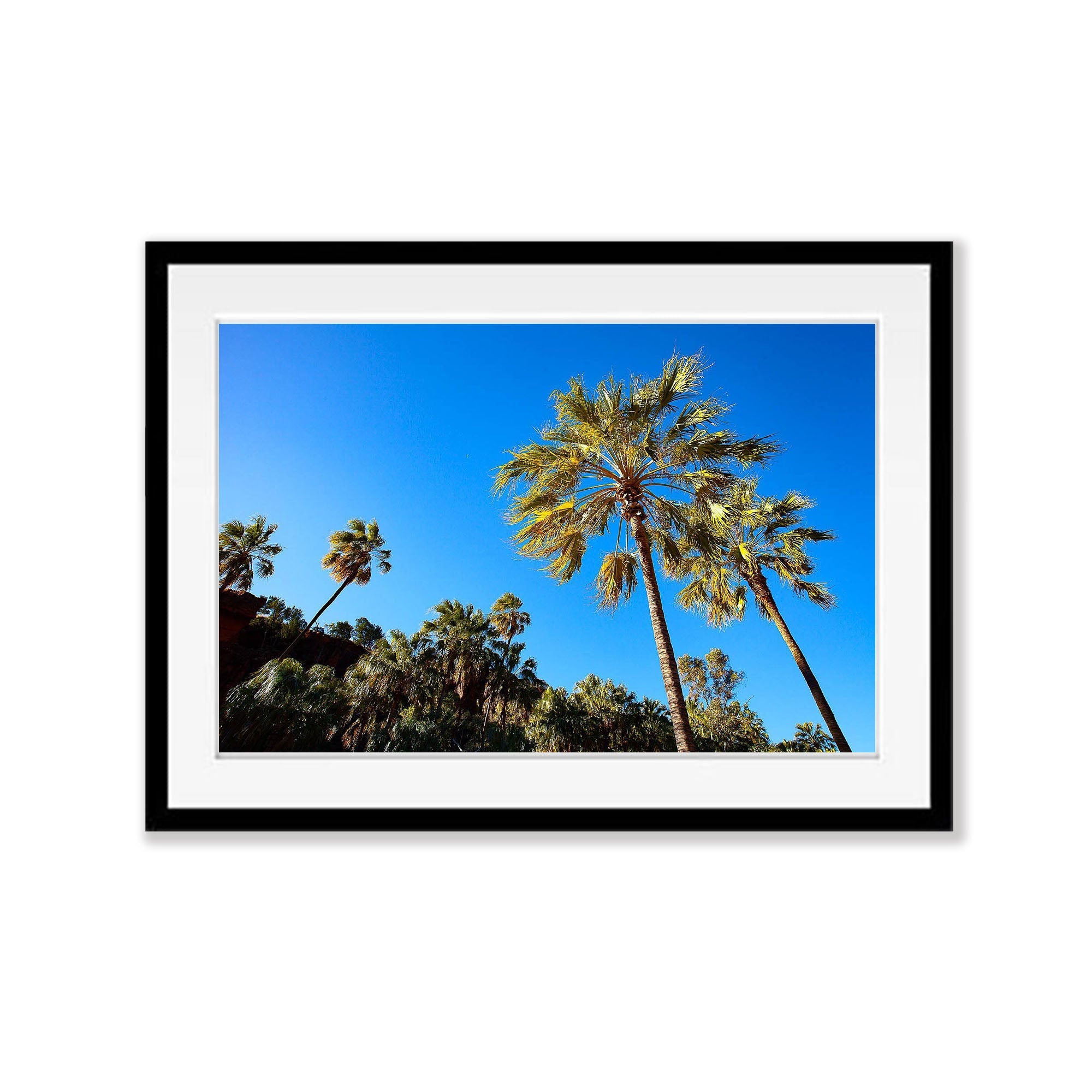 Palm Valley, Finke Gorge National Park - Northern Territory