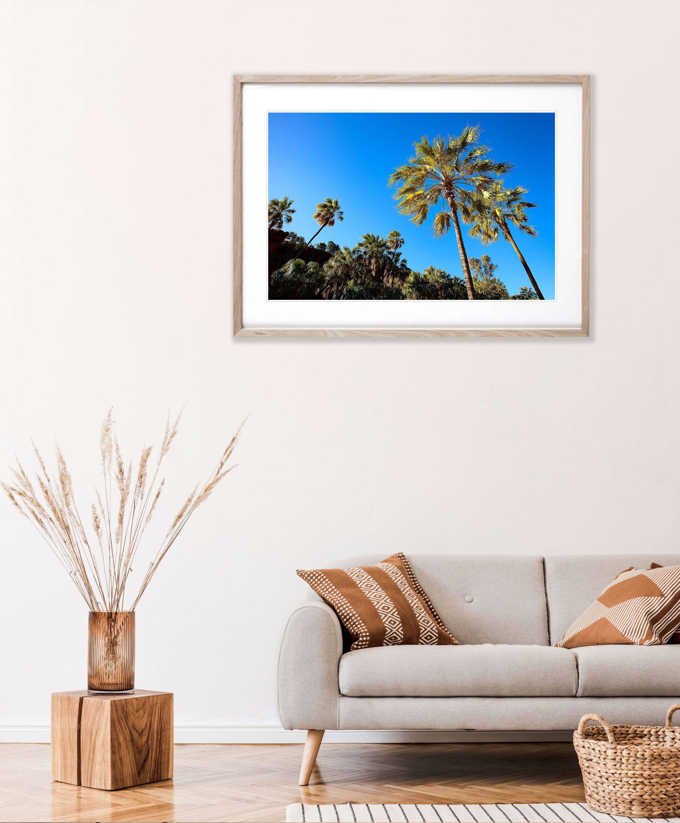 Palm Valley, Finke Gorge National Park - Northern Territory