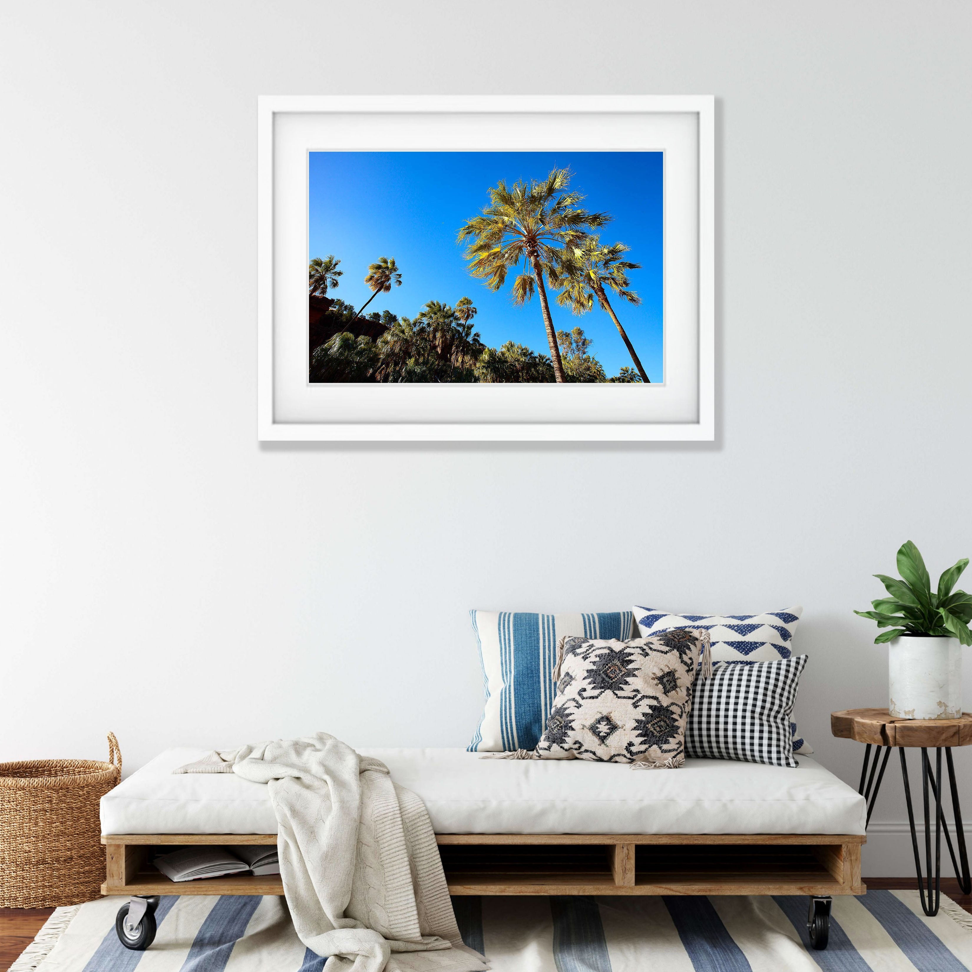 Palm Valley, Finke Gorge National Park - Northern Territory