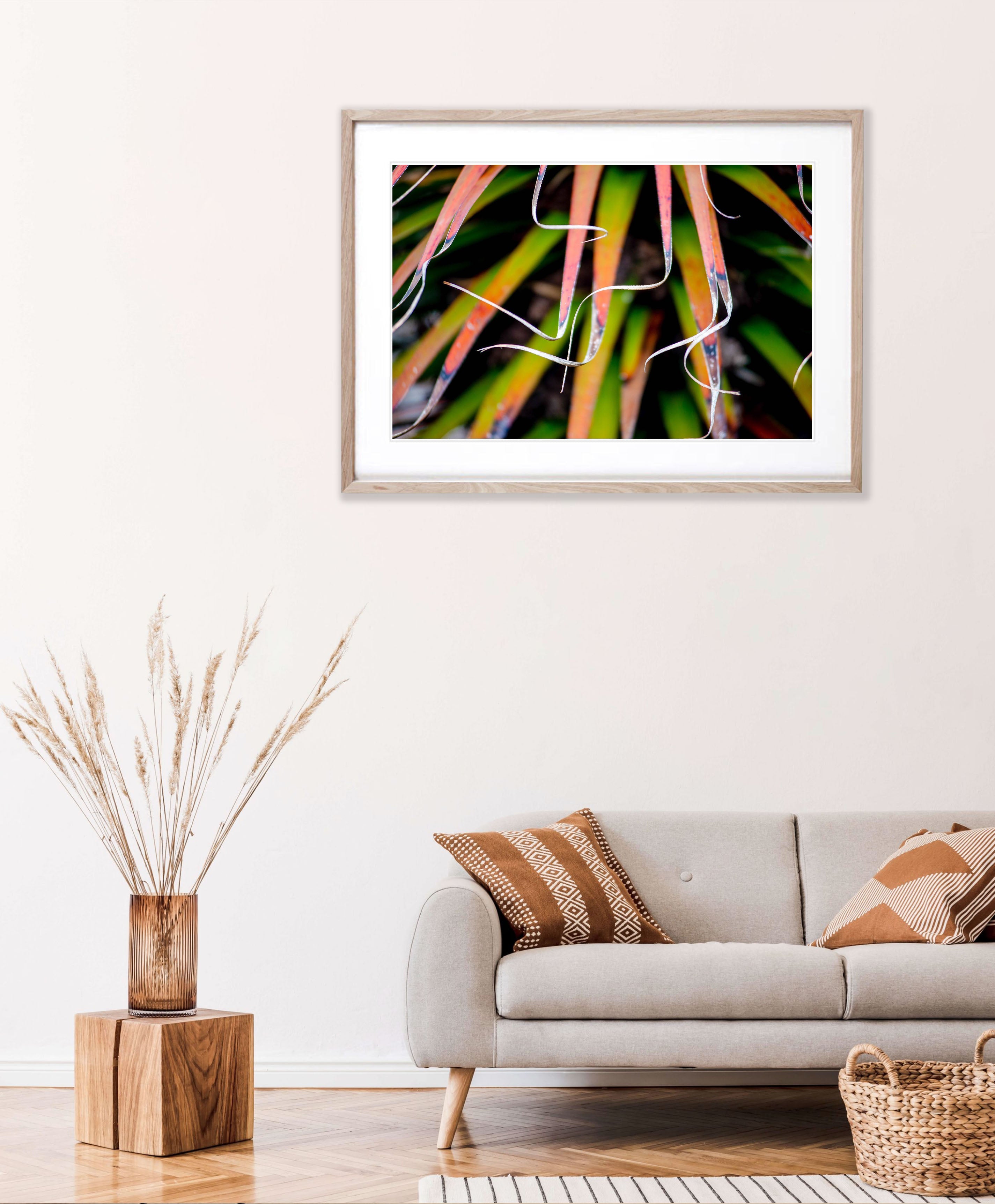 Pandani fronds, Cradle Mountain, Tasmania