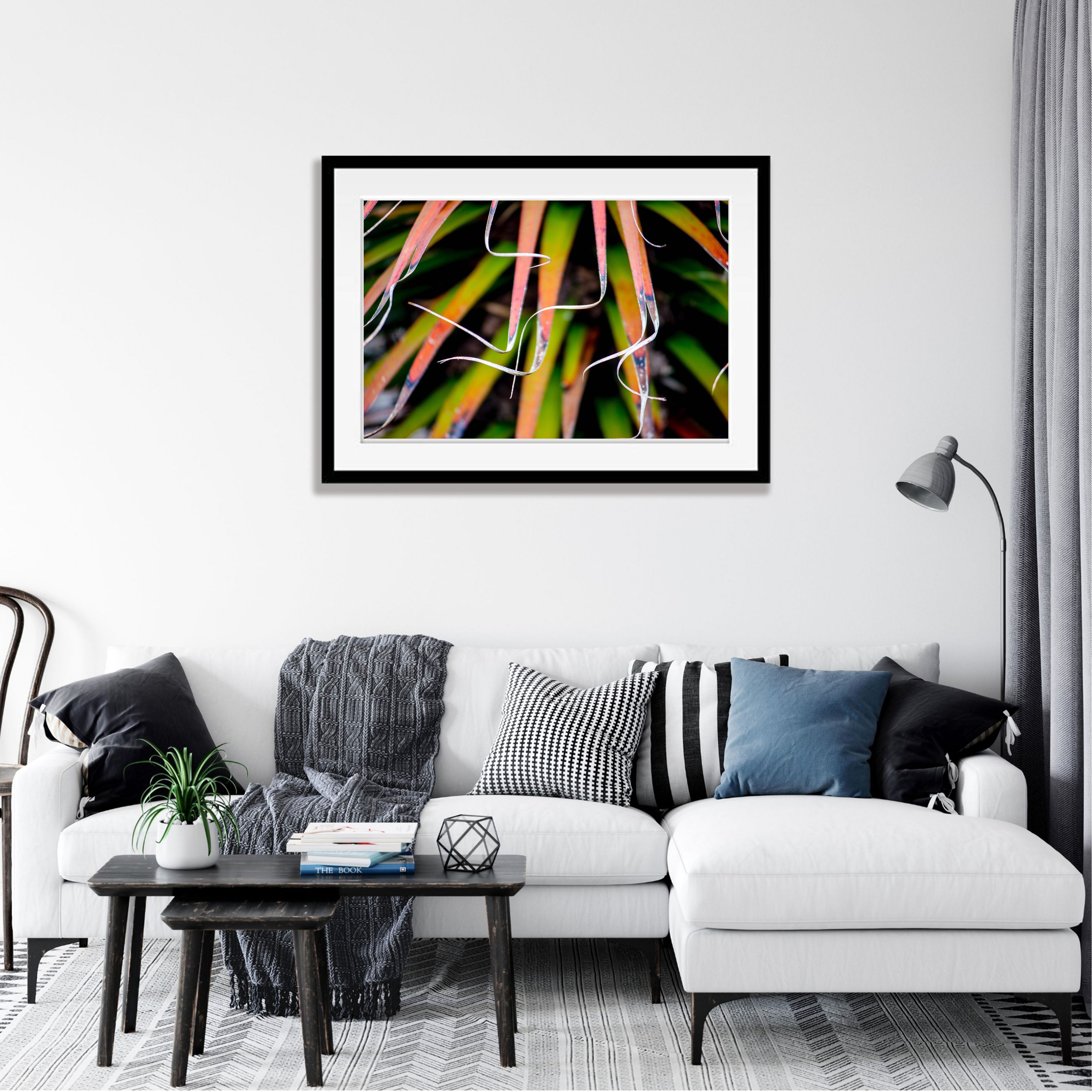 Pandani fronds, Cradle Mountain, Tasmania