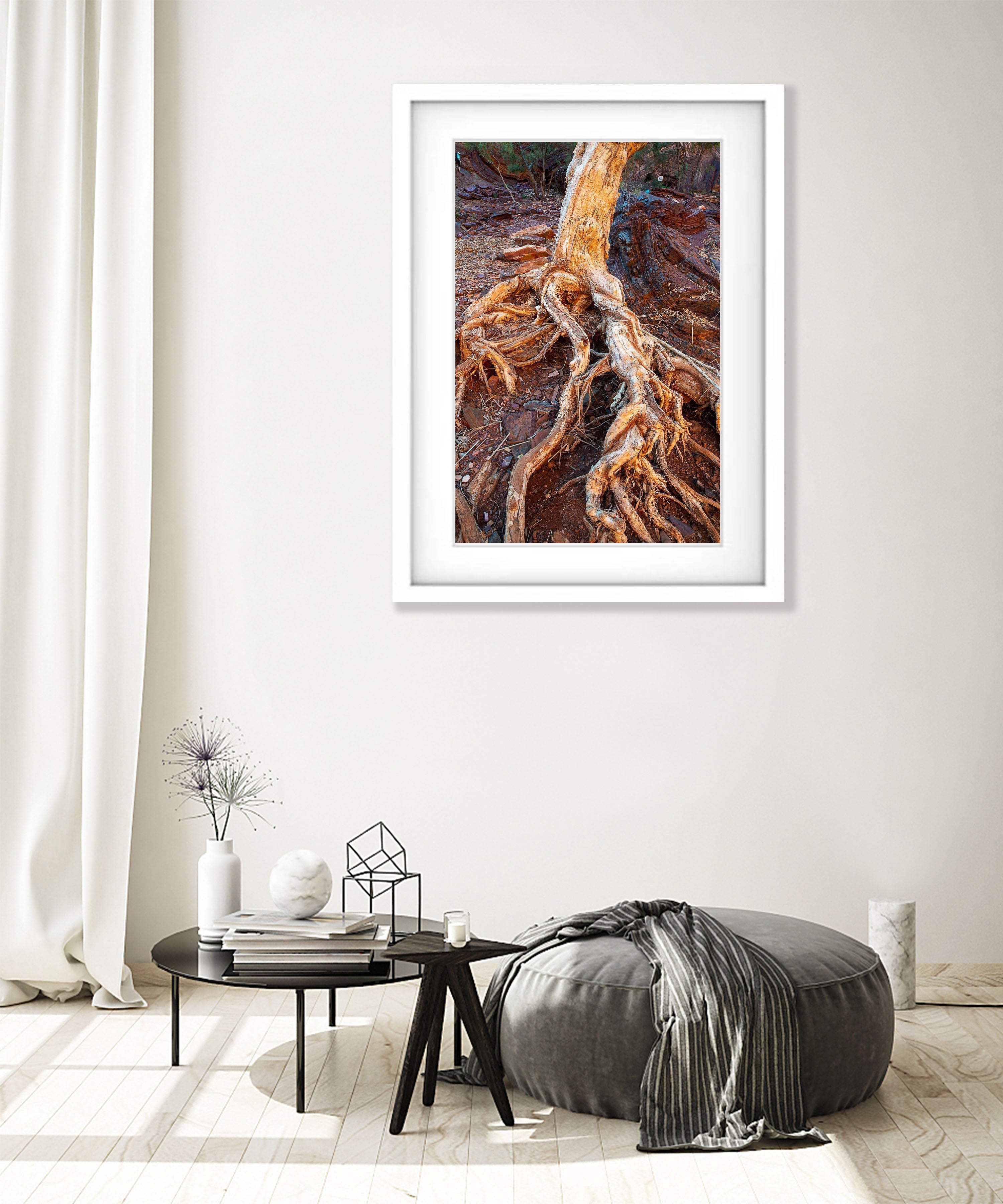 Paperbark Tree Roots, Hammersley Gorge, Karijini, Western Australia