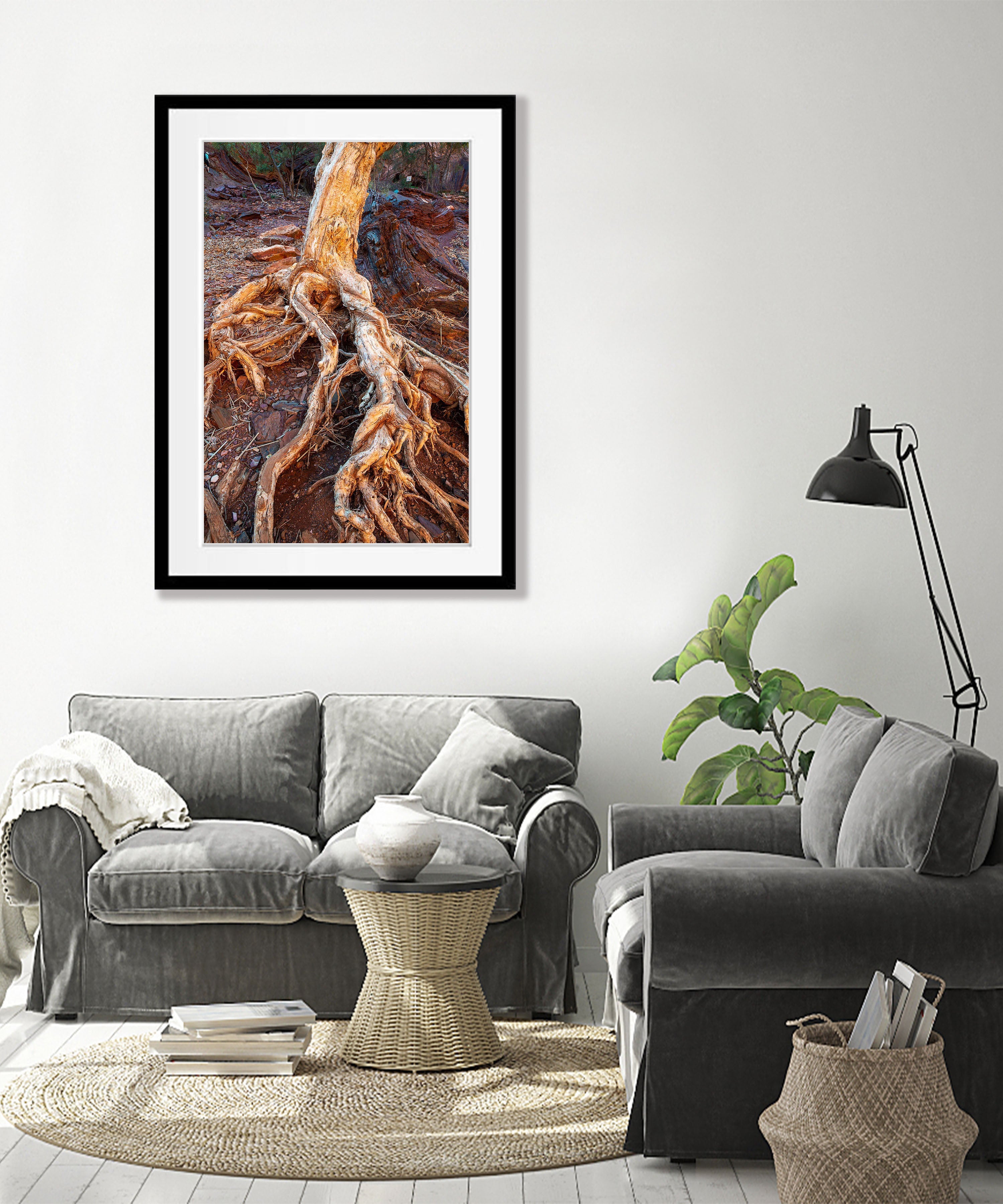 Paperbark Tree Roots, Hammersley Gorge, Karijini, Western Australia
