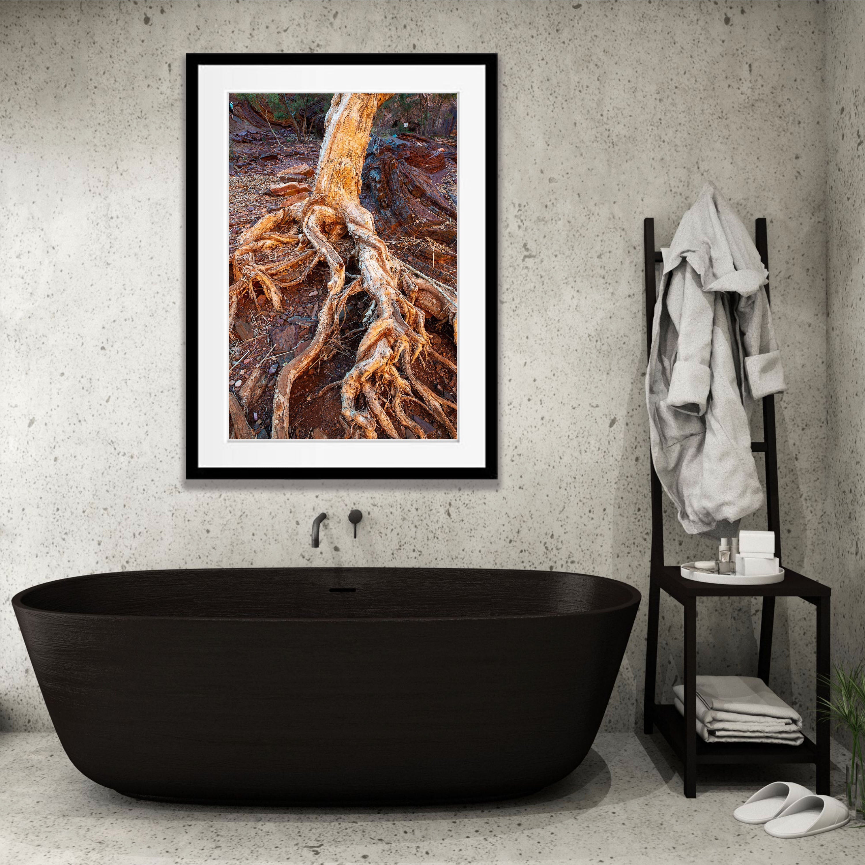 Paperbark Tree Roots, Hammersley Gorge, Karijini, Western Australia