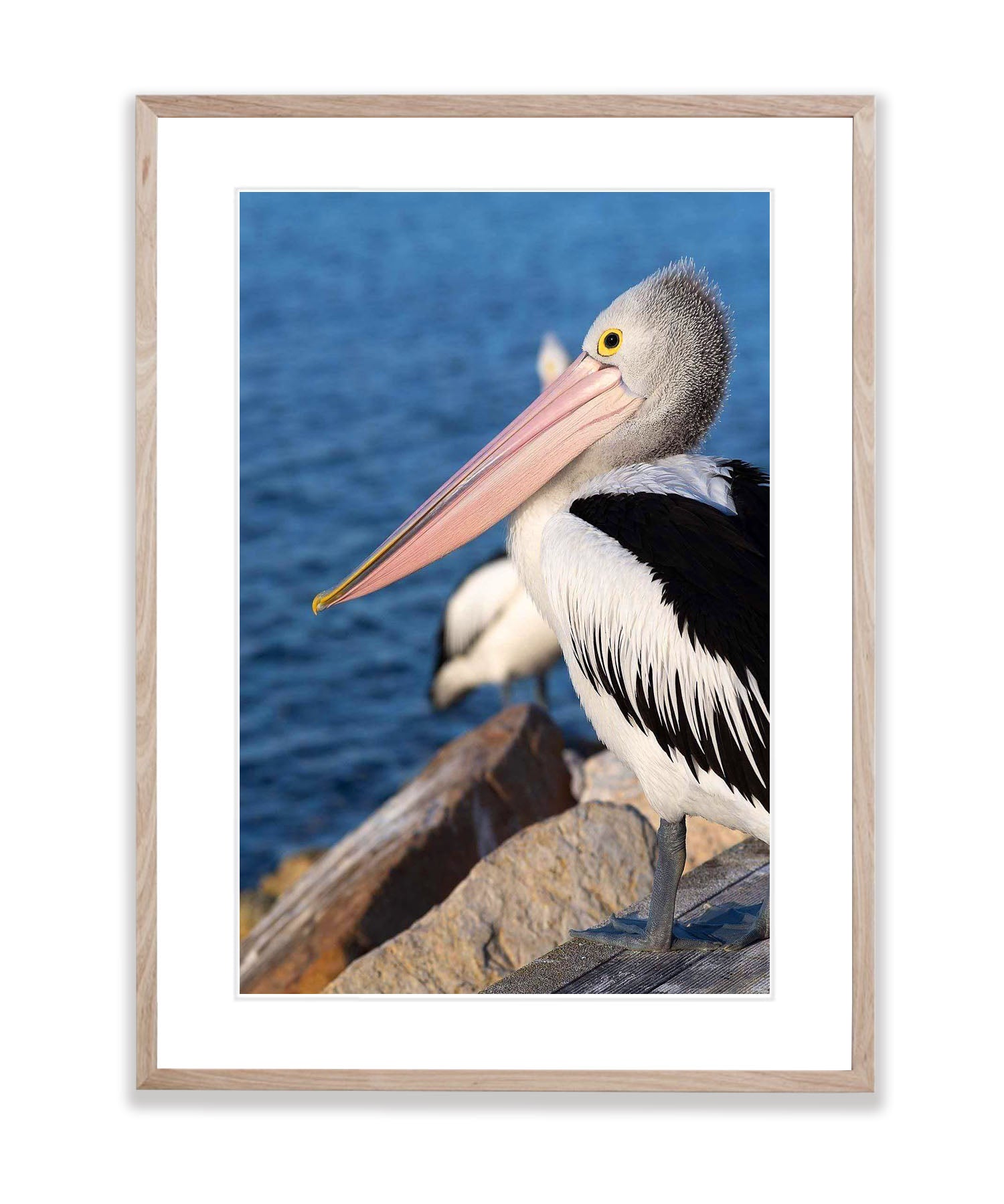 Pelican No.2, Kangaroo Island, South Australia