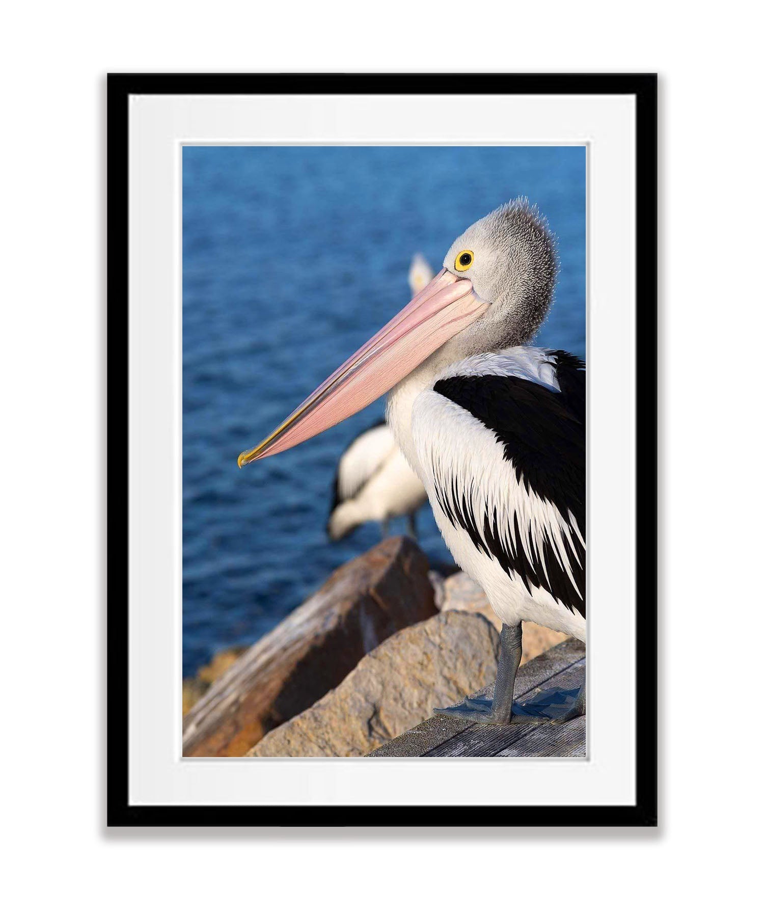 Pelican No.2, Kangaroo Island, South Australia