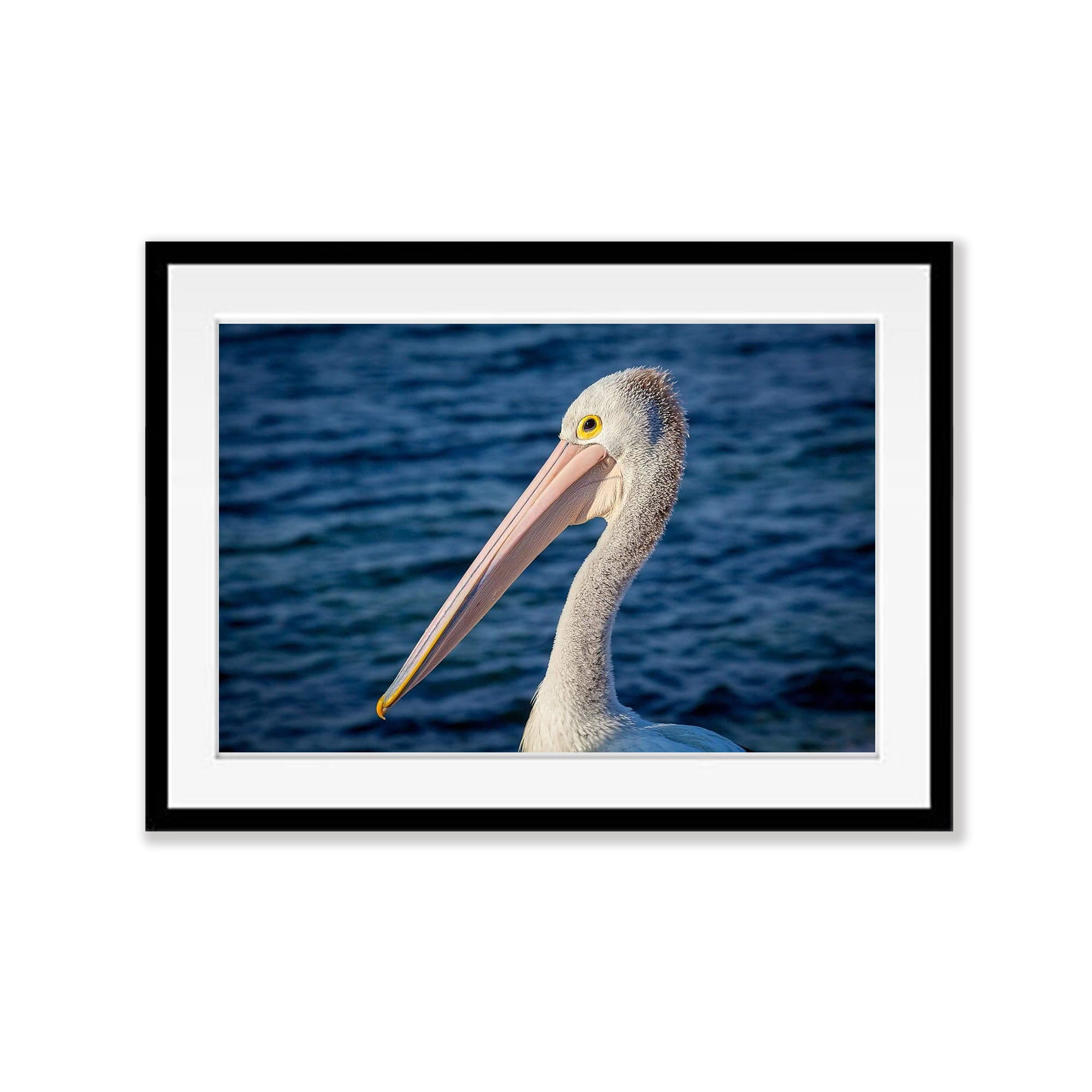 Pelican No.3, Kangaroo Island, South Australia
