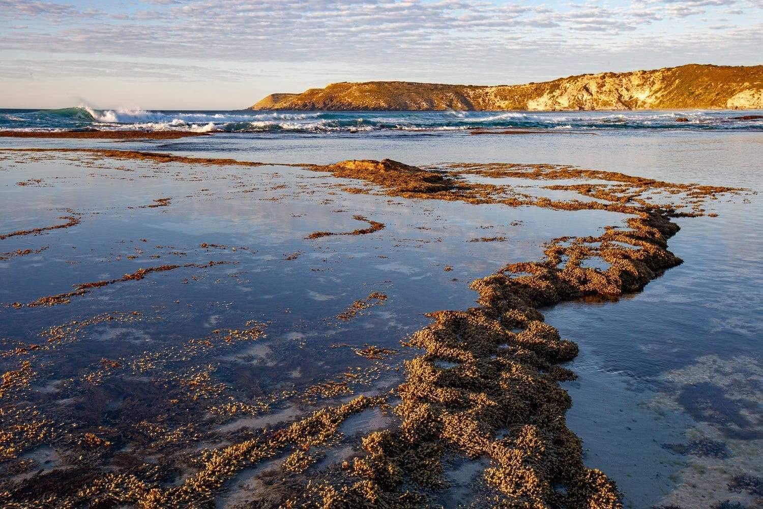 A seashore with a rocky thin track, Pennington Bay - Kangaroo Island SA