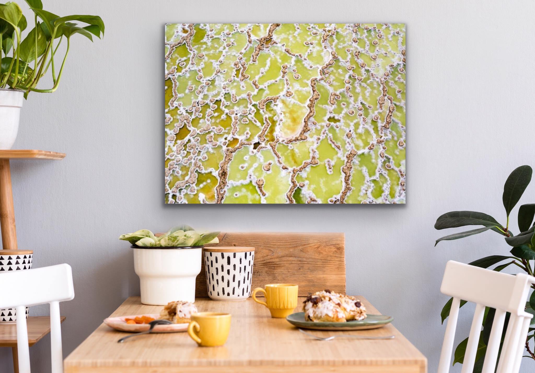 Petri Dish-Tom-Putt-Landscape-Prints