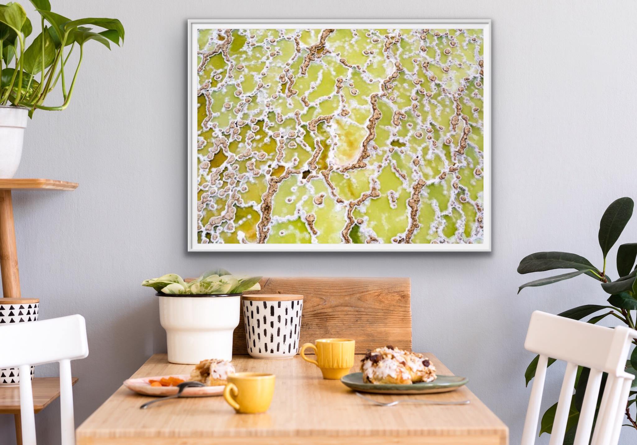 Petri Dish-Tom-Putt-Landscape-Prints