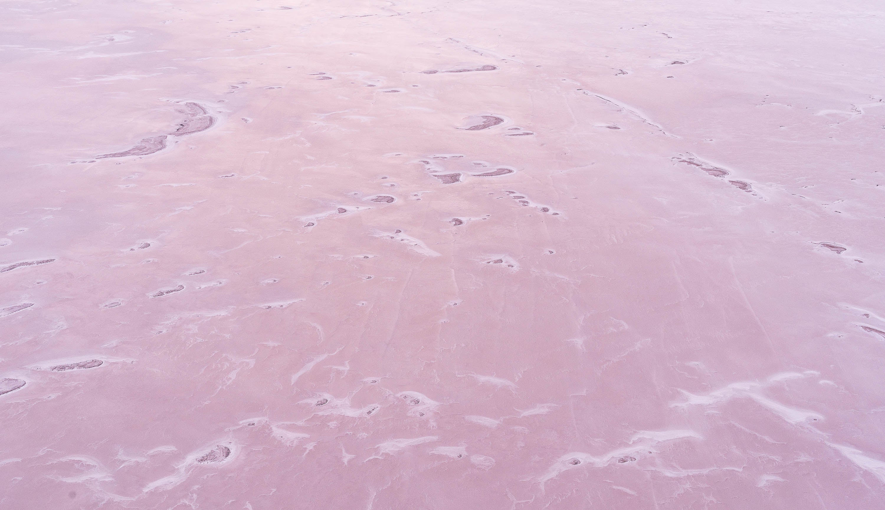 Pink Salt, Belt Bay