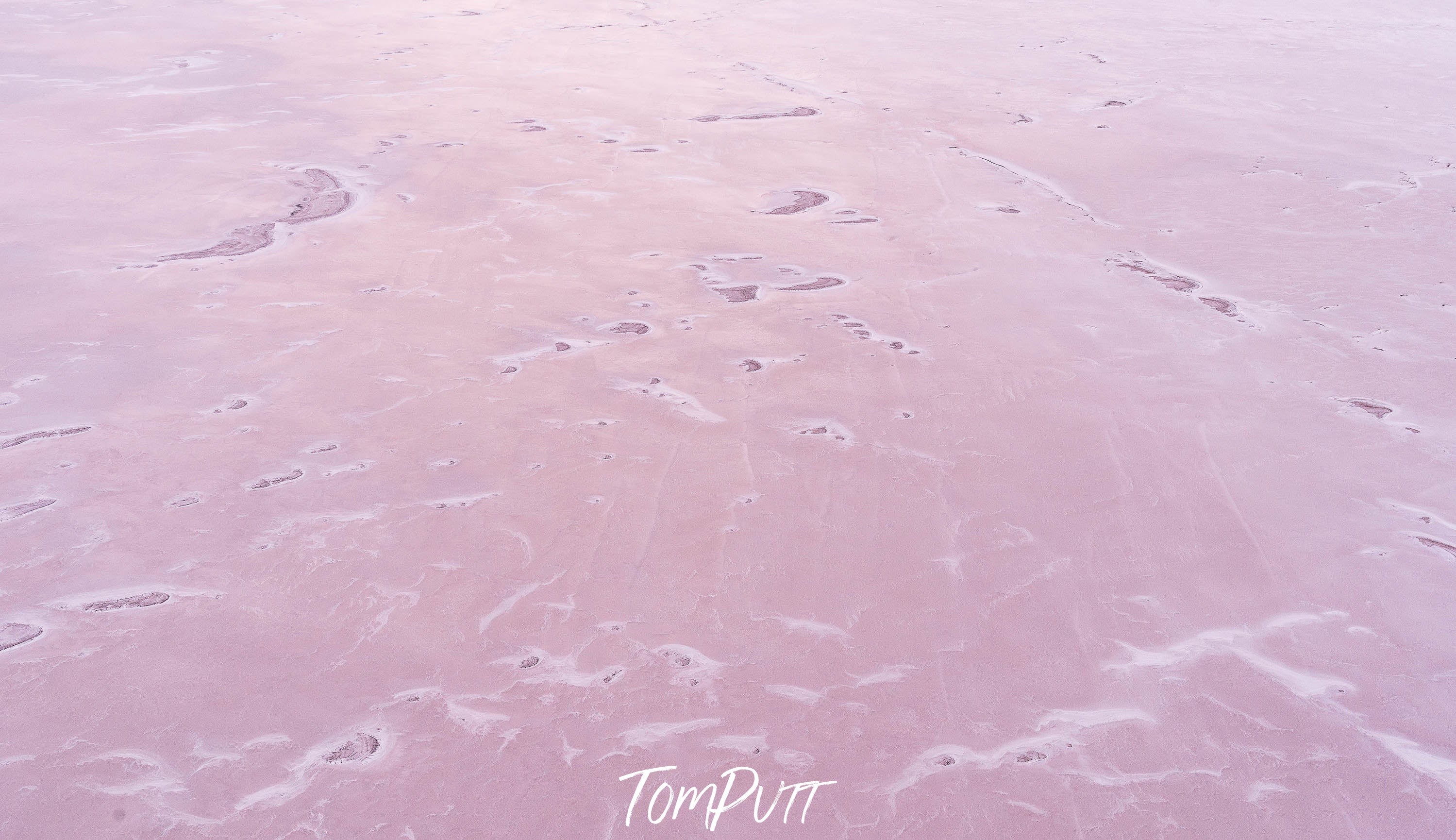 Pink Salt, Belt Bay, Lake Eyre, SA