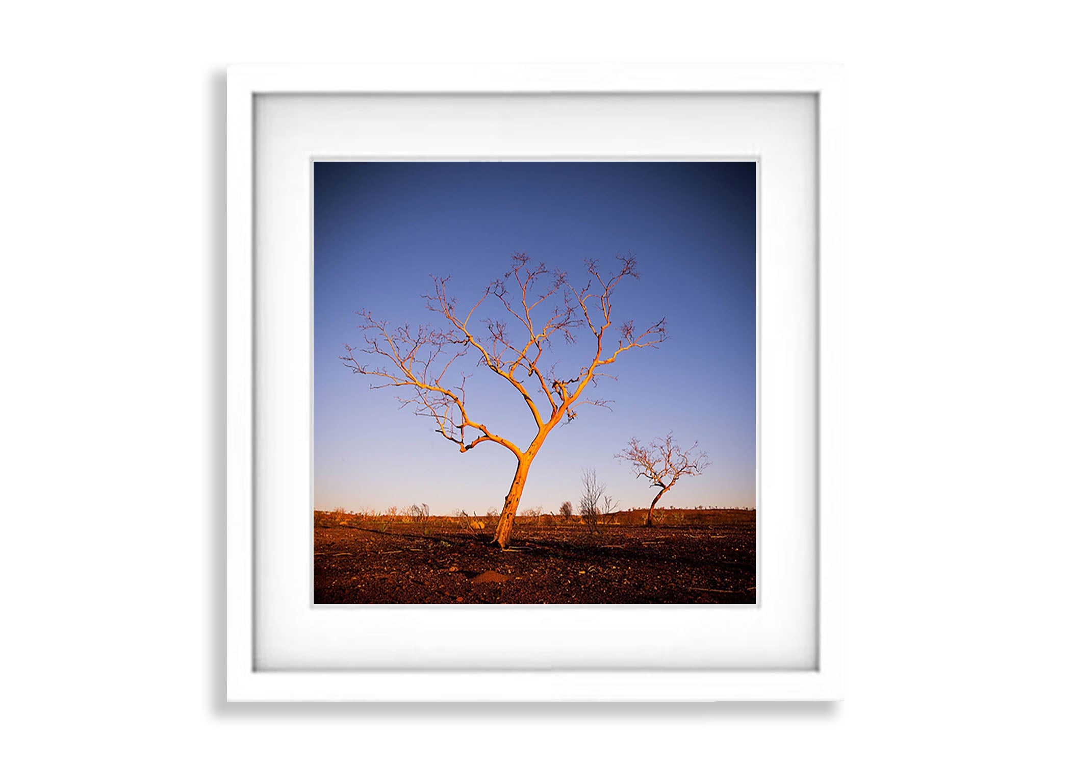 Poetry, Snappy Gums, The Pilbara