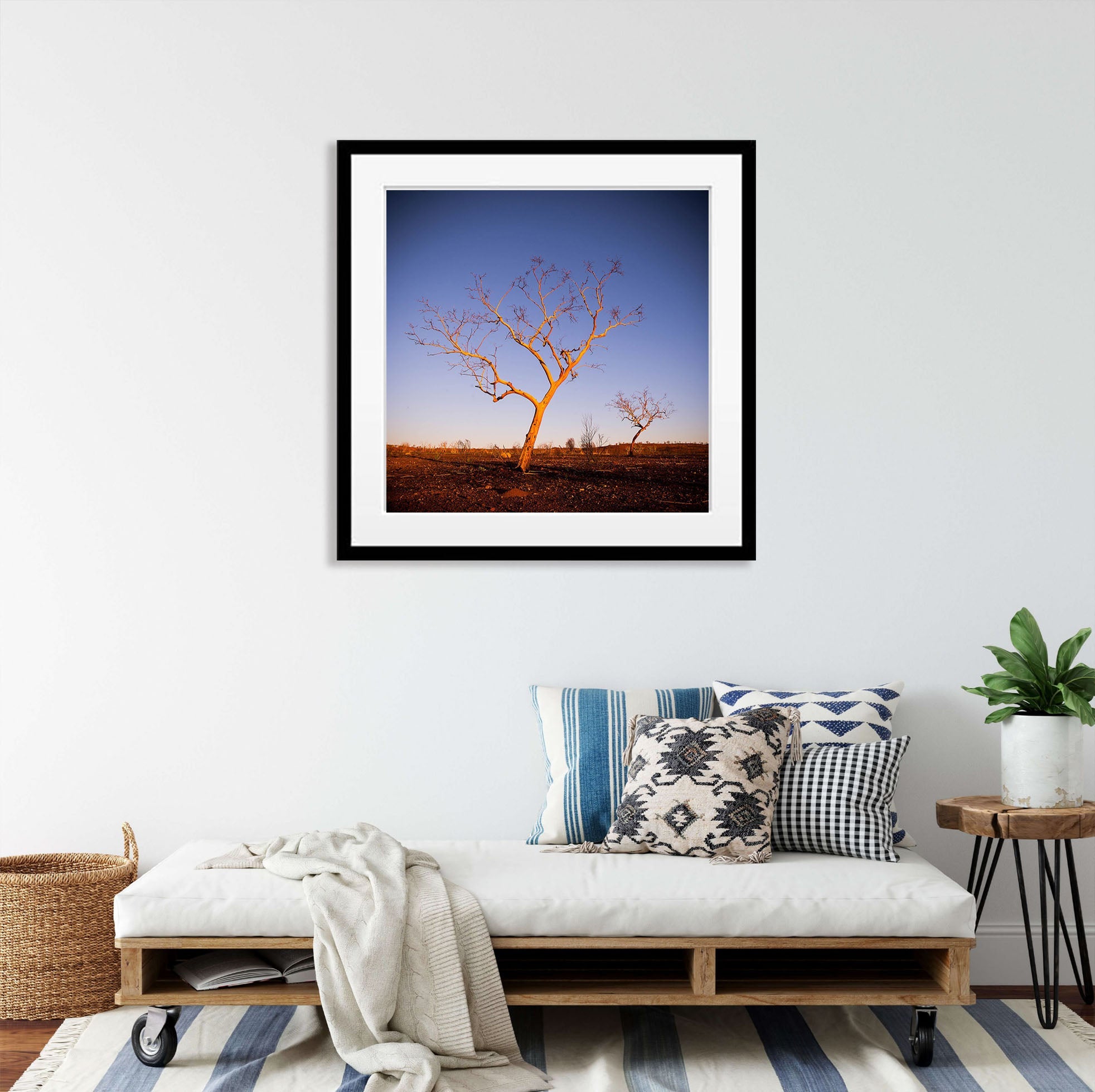 Poetry, Snappy Gums, The Pilbara