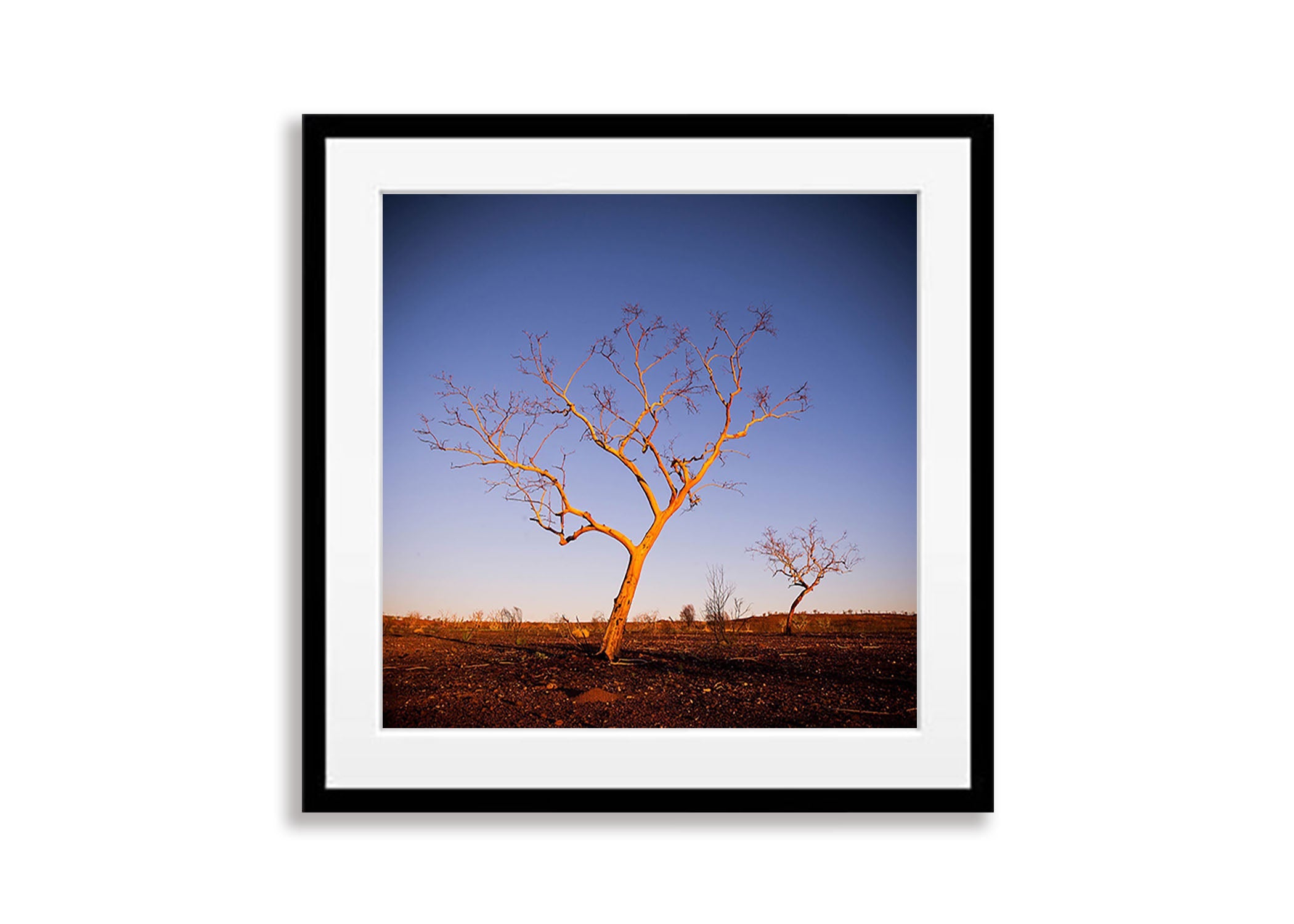 Poetry, Snappy Gums, The Pilbara