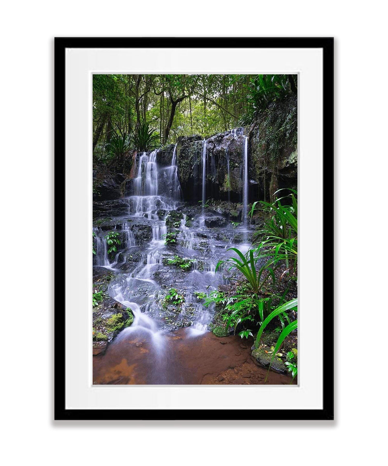 Poojabinya Falls - Lamington National Park QLD