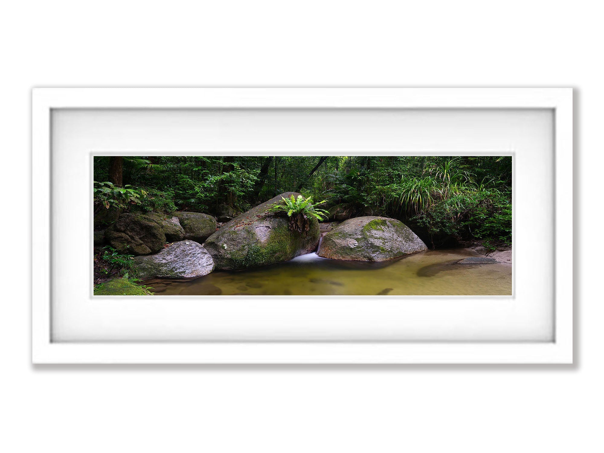 Pool of Tranquility, The Daintree, Far North Queensland