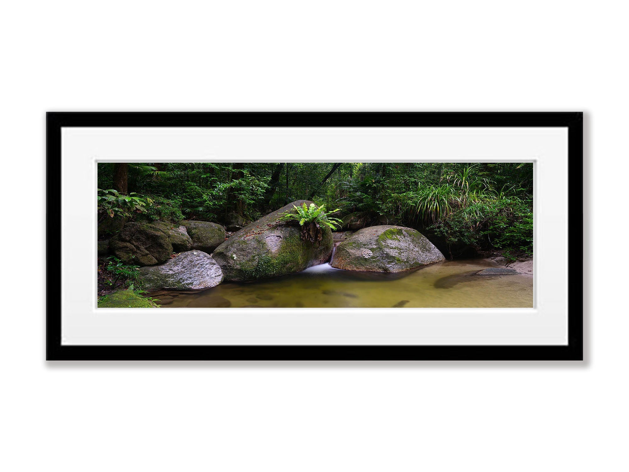 Pool of Tranquility, The Daintree, Far North Queensland