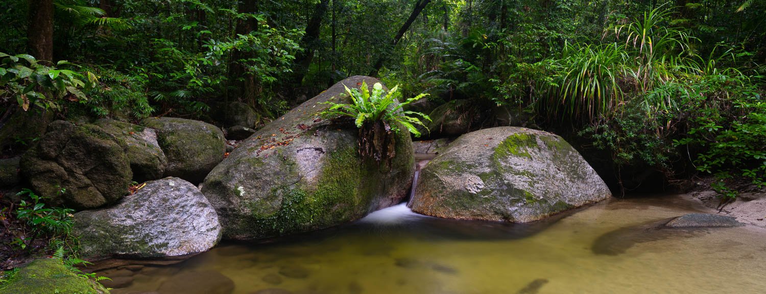 Large boulders in a corner of a watercourse with some trees behind, Pool of Tranquility, The Daintree, Far North Queensland