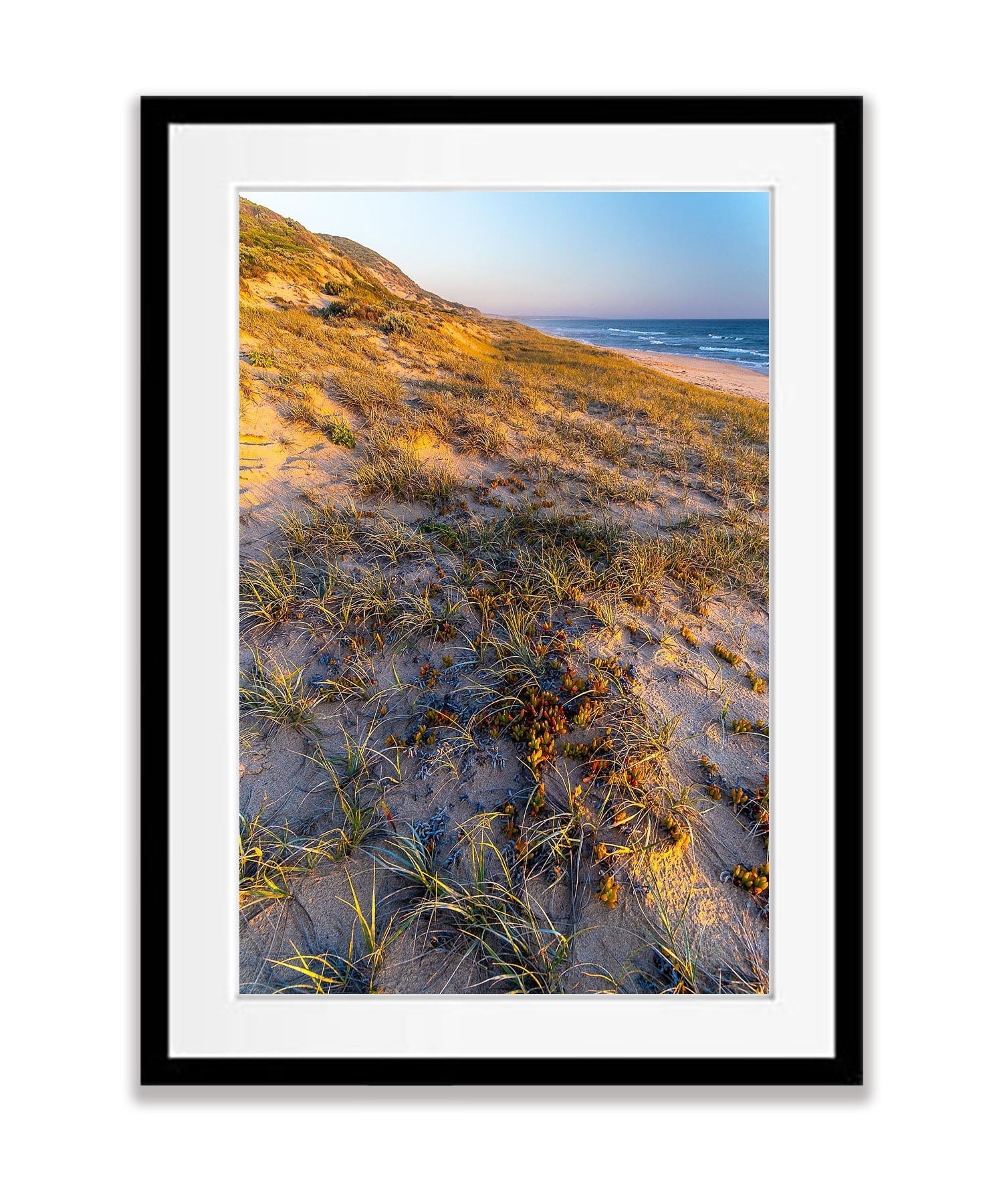 Portsea Fore Dune, Mornington Peninsula, VIC