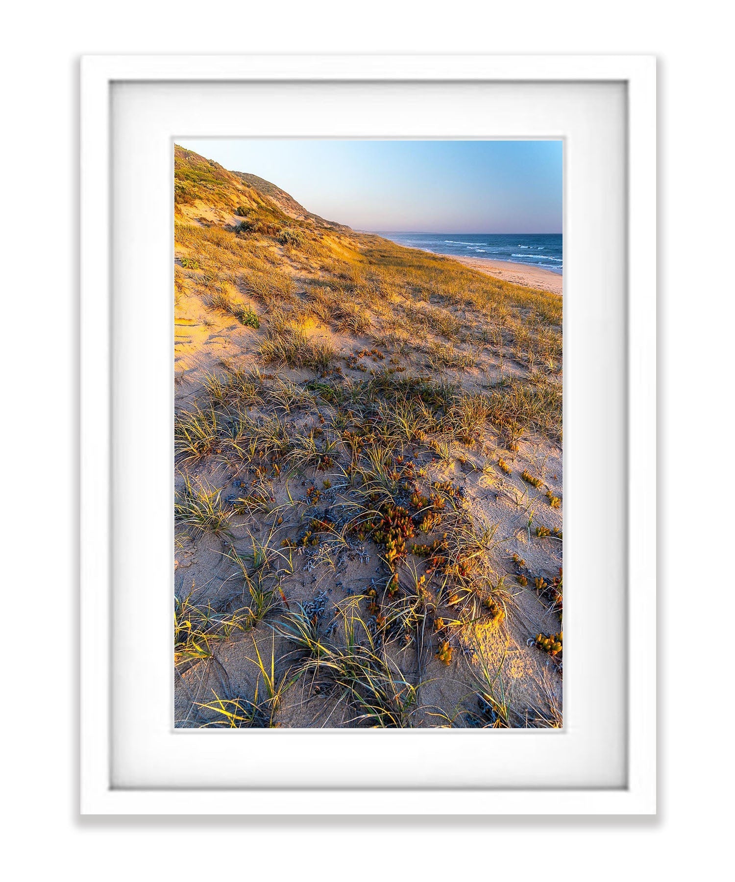 Portsea Fore Dune, Mornington Peninsula, VIC