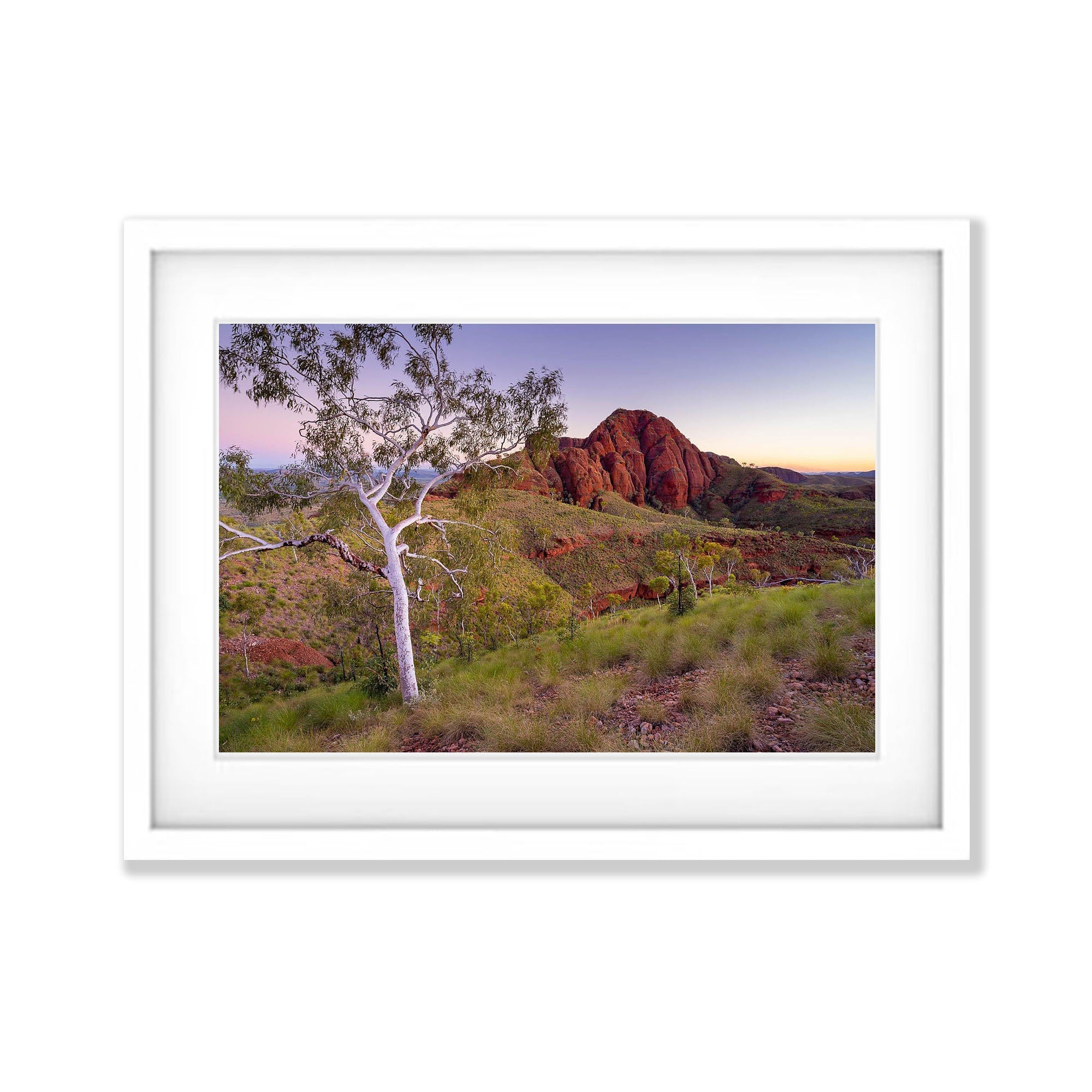 Nature’s Embrace, Ragged Range, The Kimberley