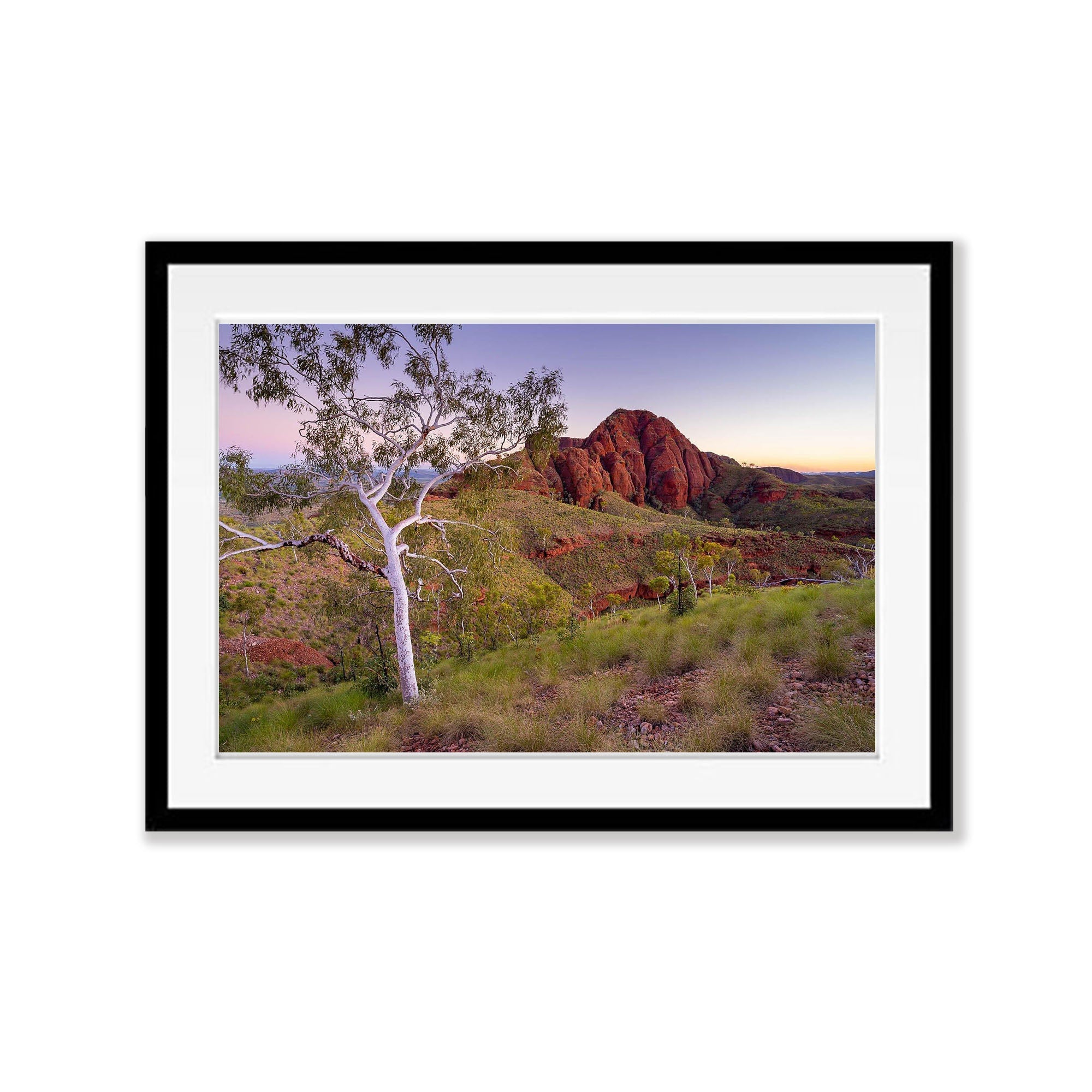 Nature’s Embrace, Ragged Range, The Kimberley