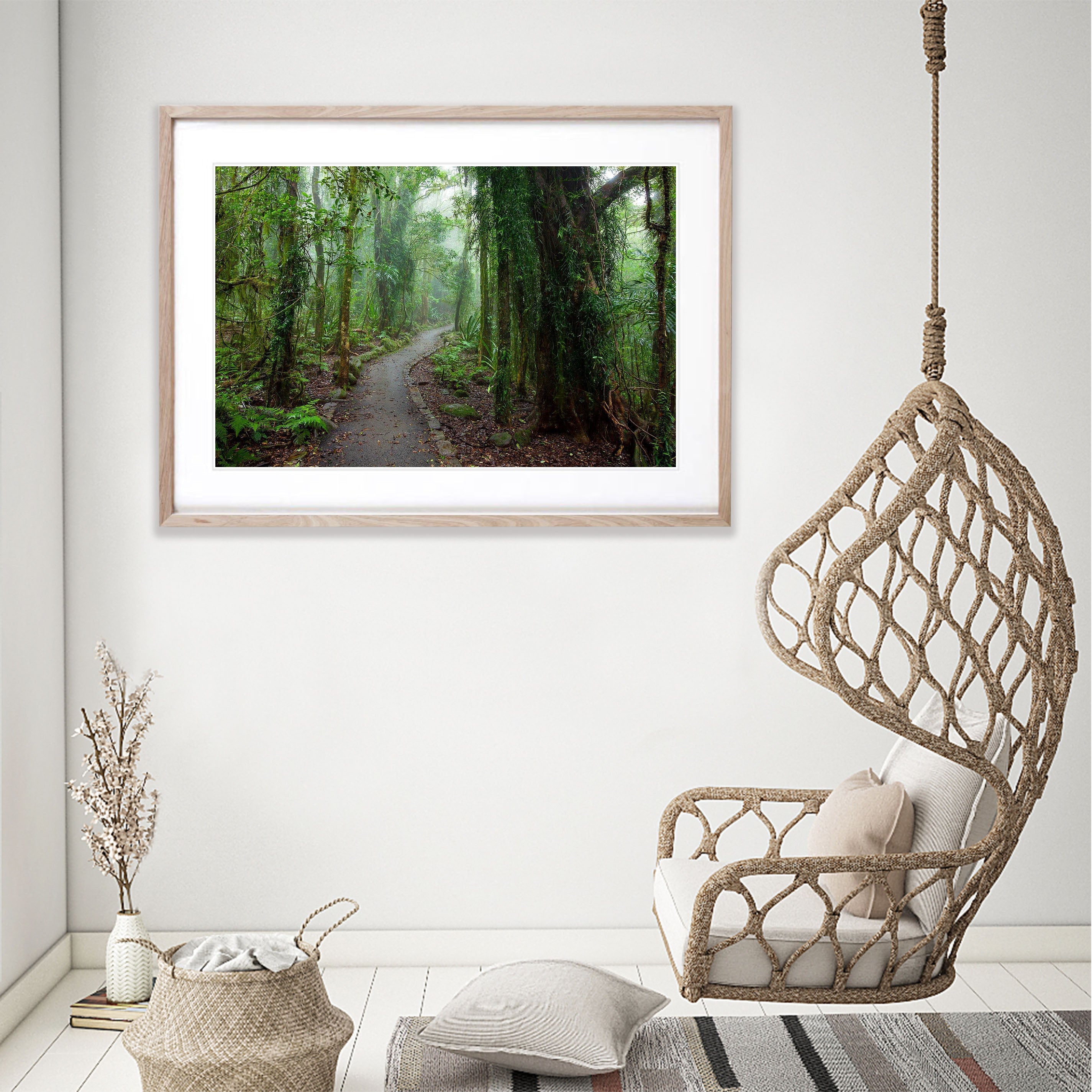 Rainforest Pathway - QLD