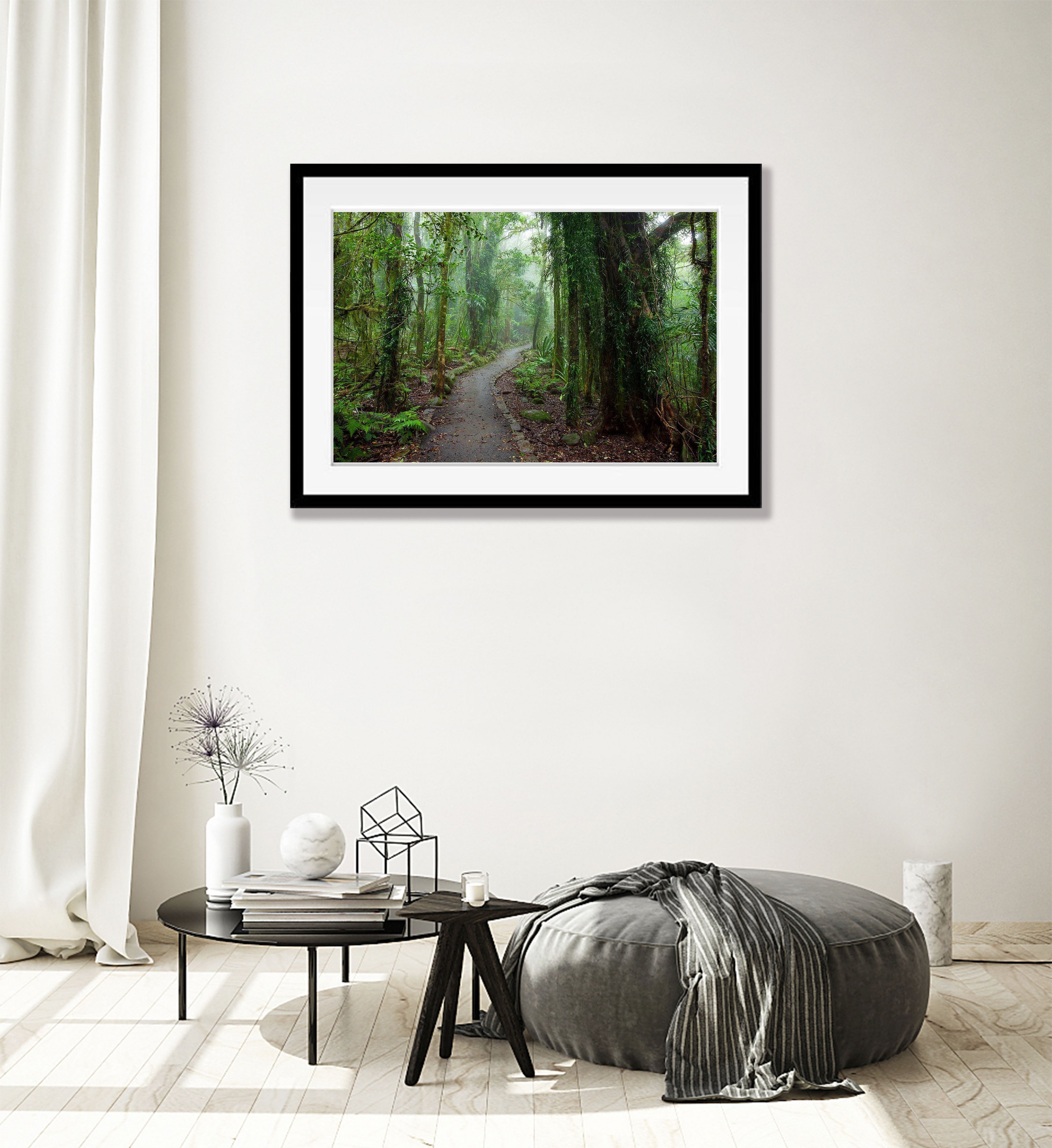 Rainforest Pathway - QLD