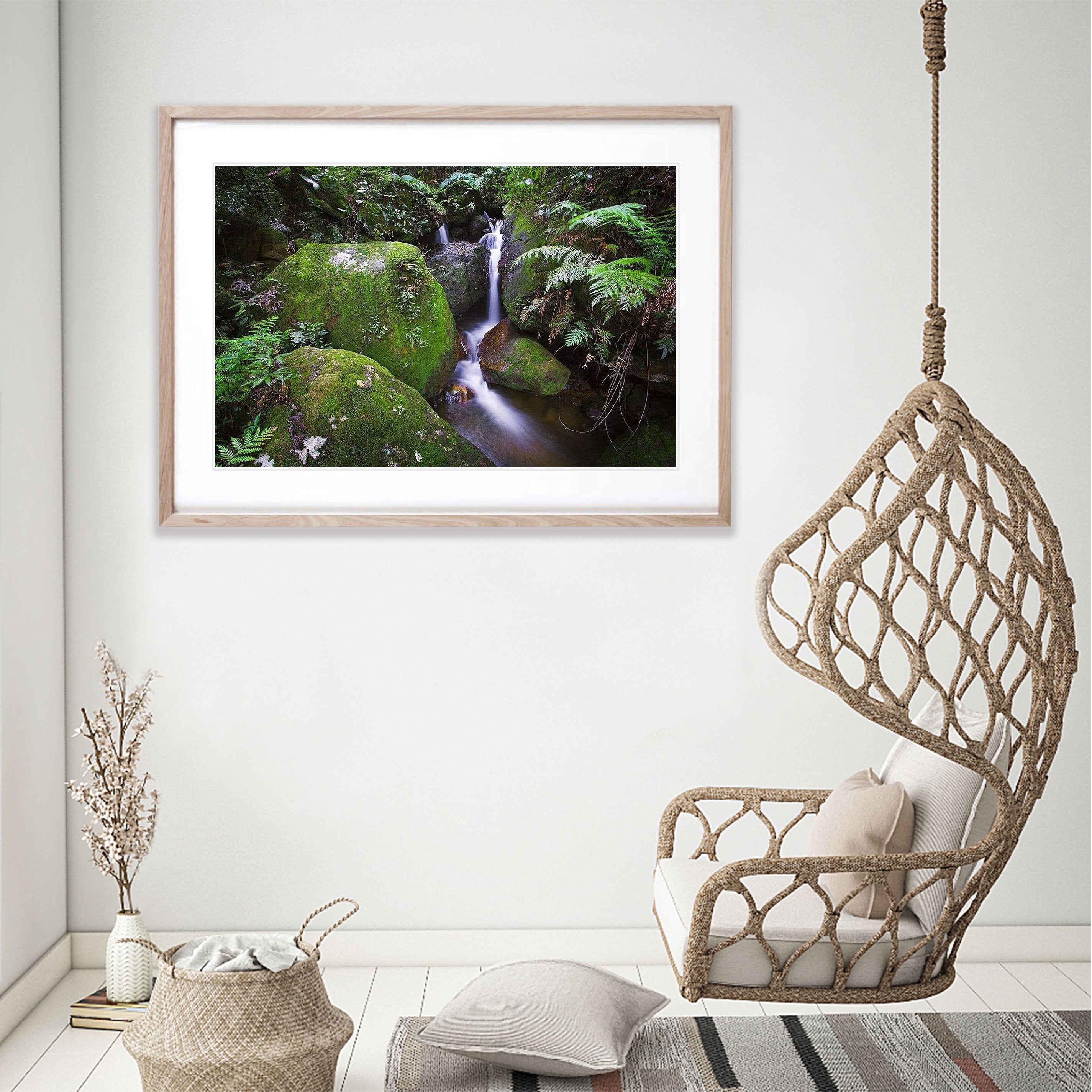Rainforest Solice - Blue Mountains NSW