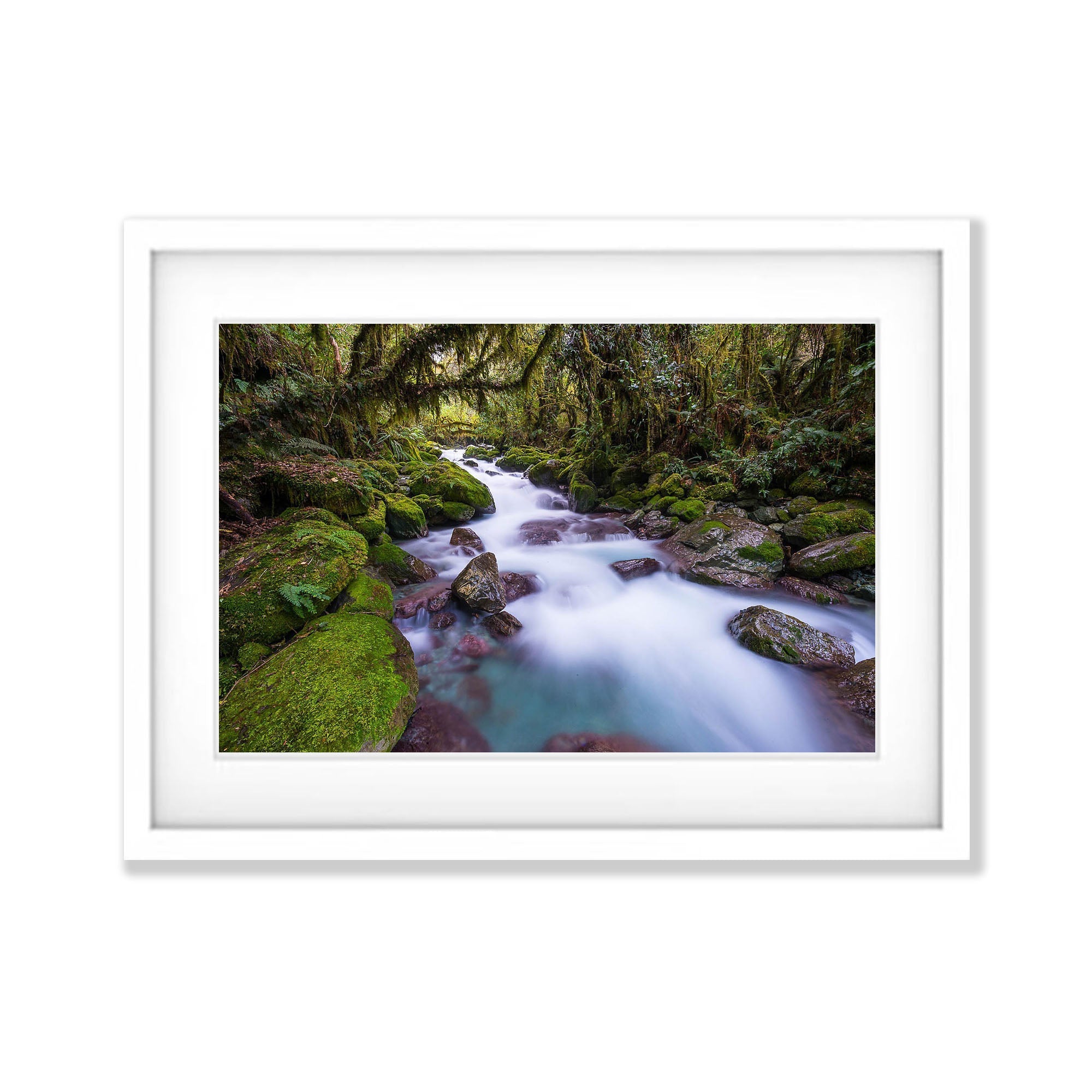Rainforest Stream, Hollyford Valley, South Island, New Zealand