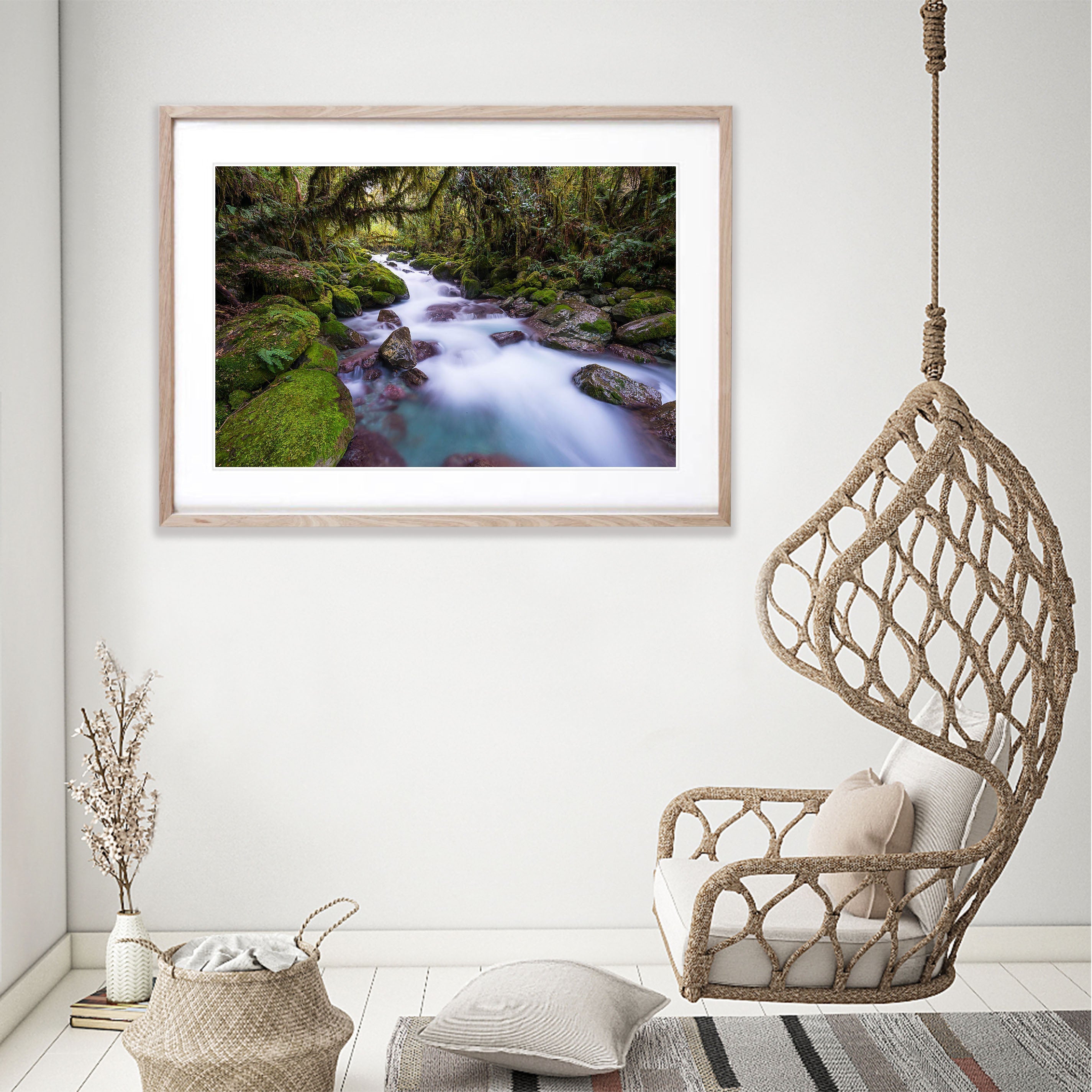 Rainforest Stream, Hollyford Valley, South Island, New Zealand