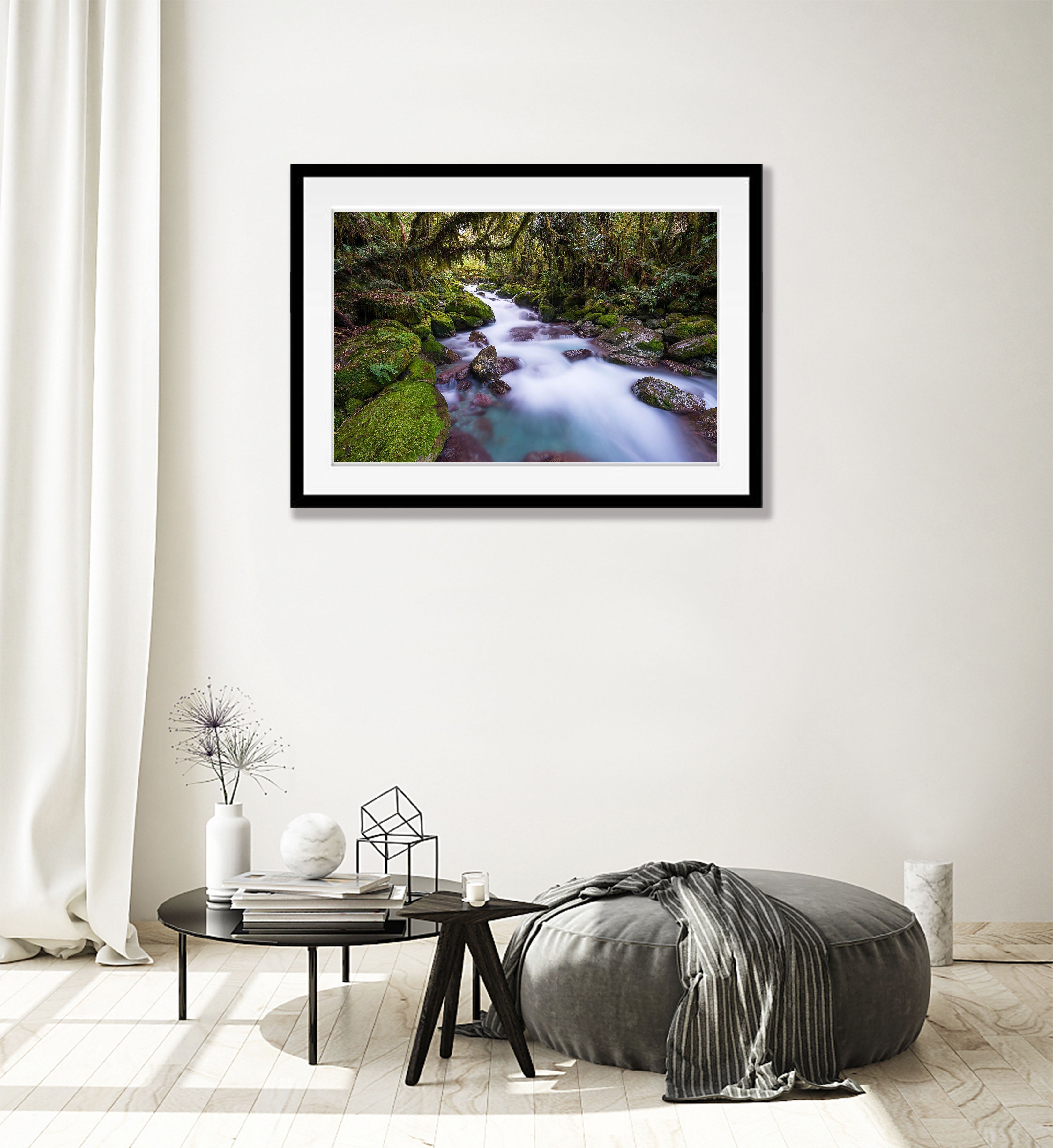 Rainforest Stream, Hollyford Valley, South Island, New Zealand