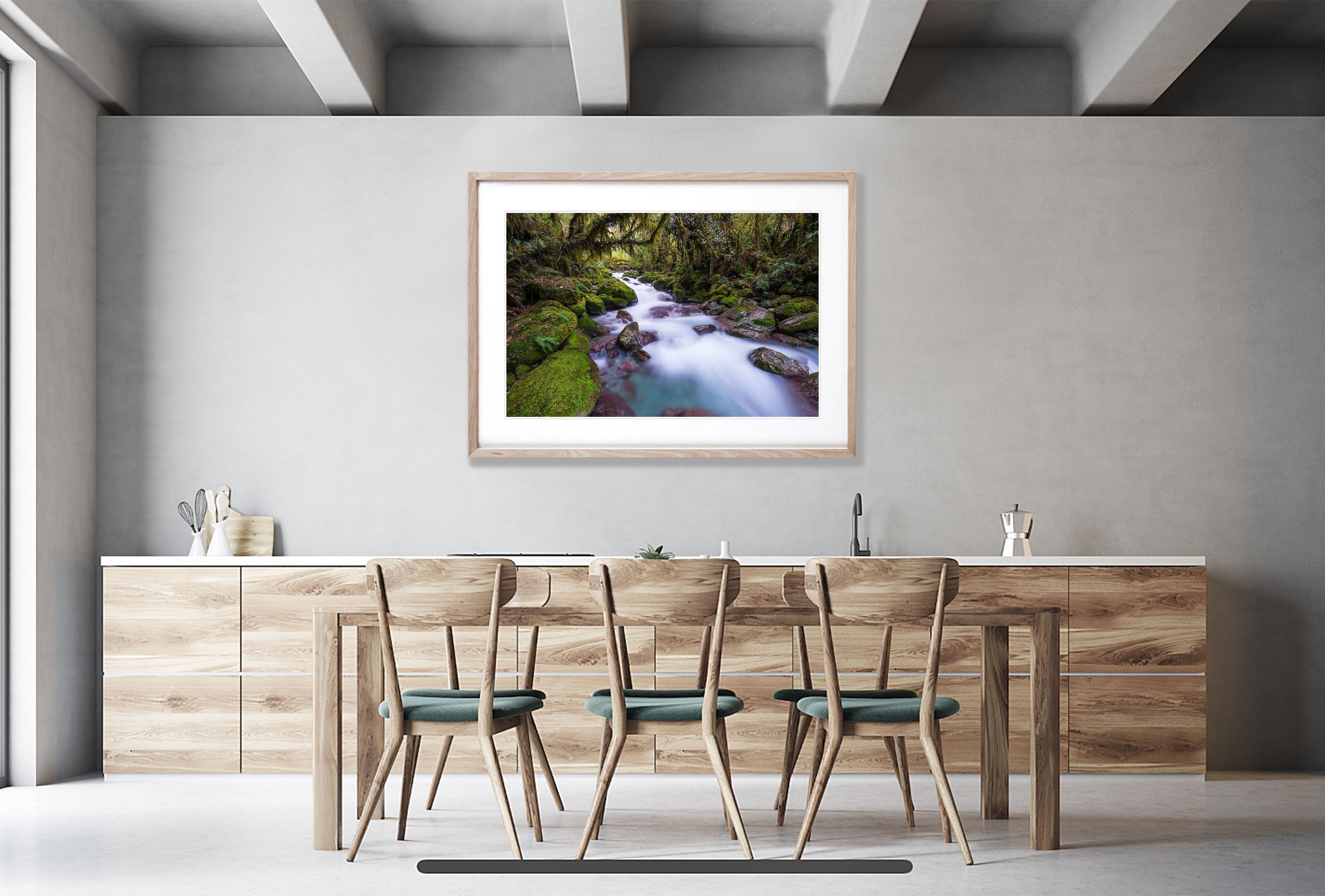 Rainforest Stream, Hollyford Valley, South Island, New Zealand