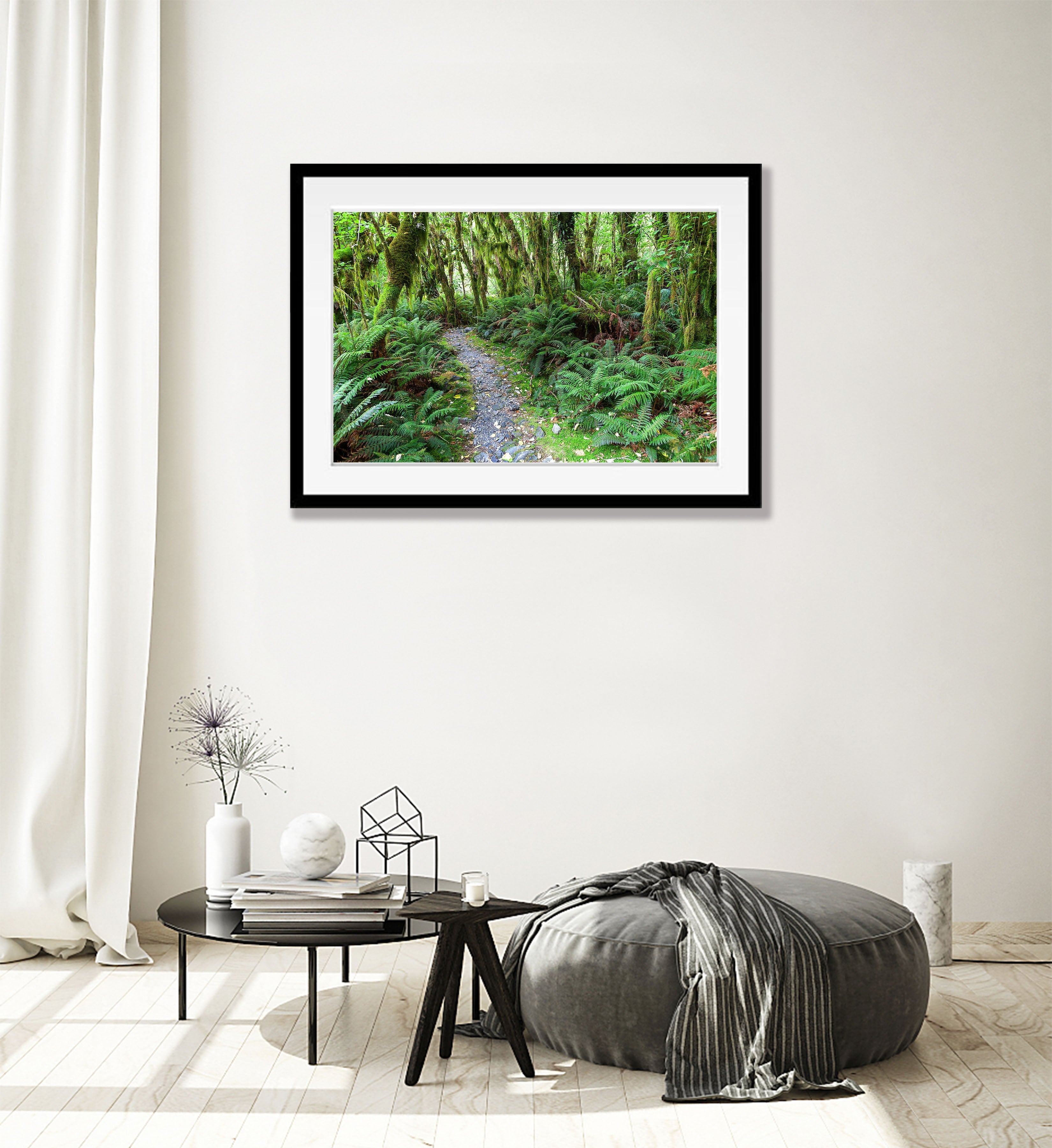 Rainforest near Arthur River, Milford Track - New Zealand