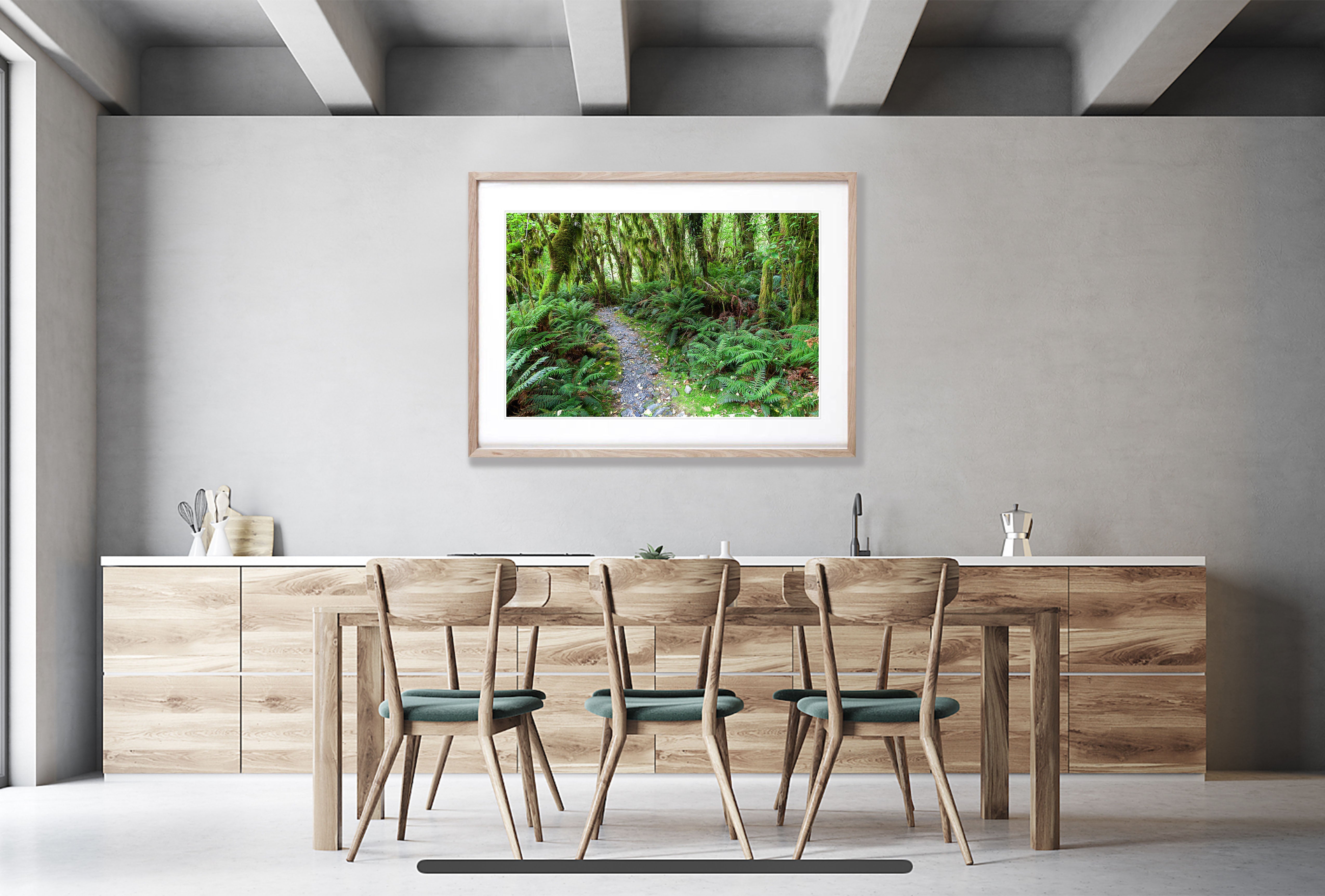 Rainforest near Arthur River, Milford Track - New Zealand