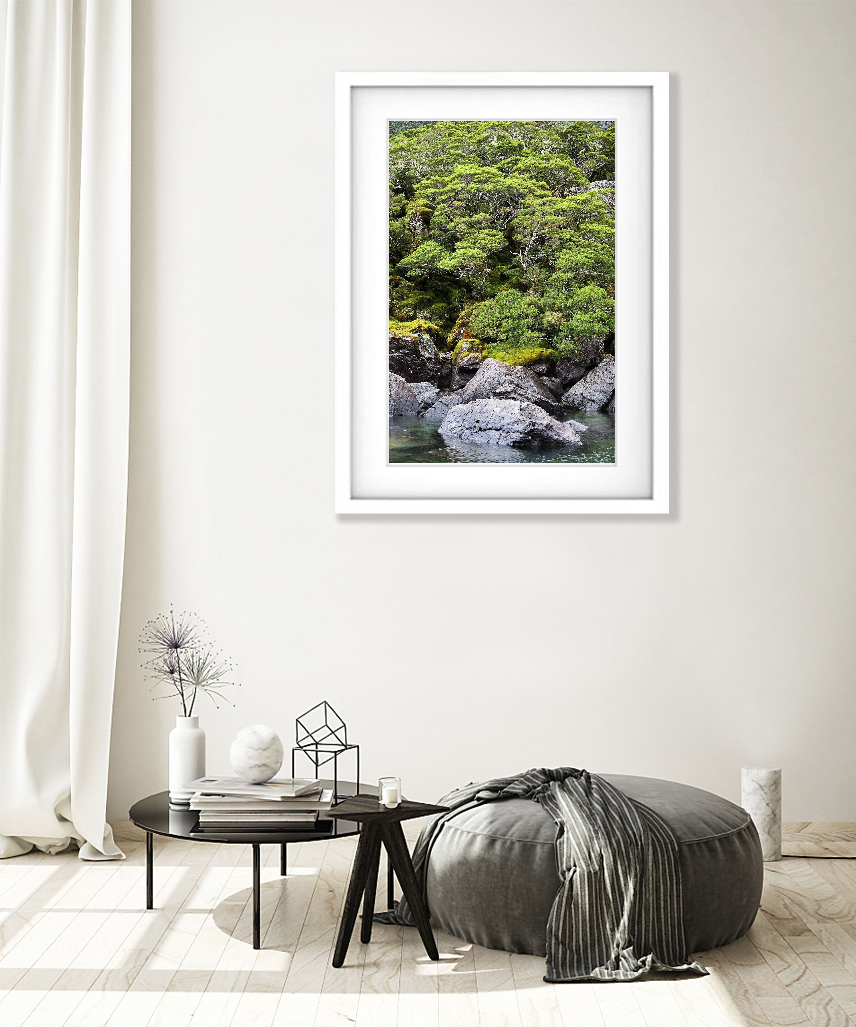 Rainforest surrounding Lake MacKenzie, Routeburn Track - New Zealand