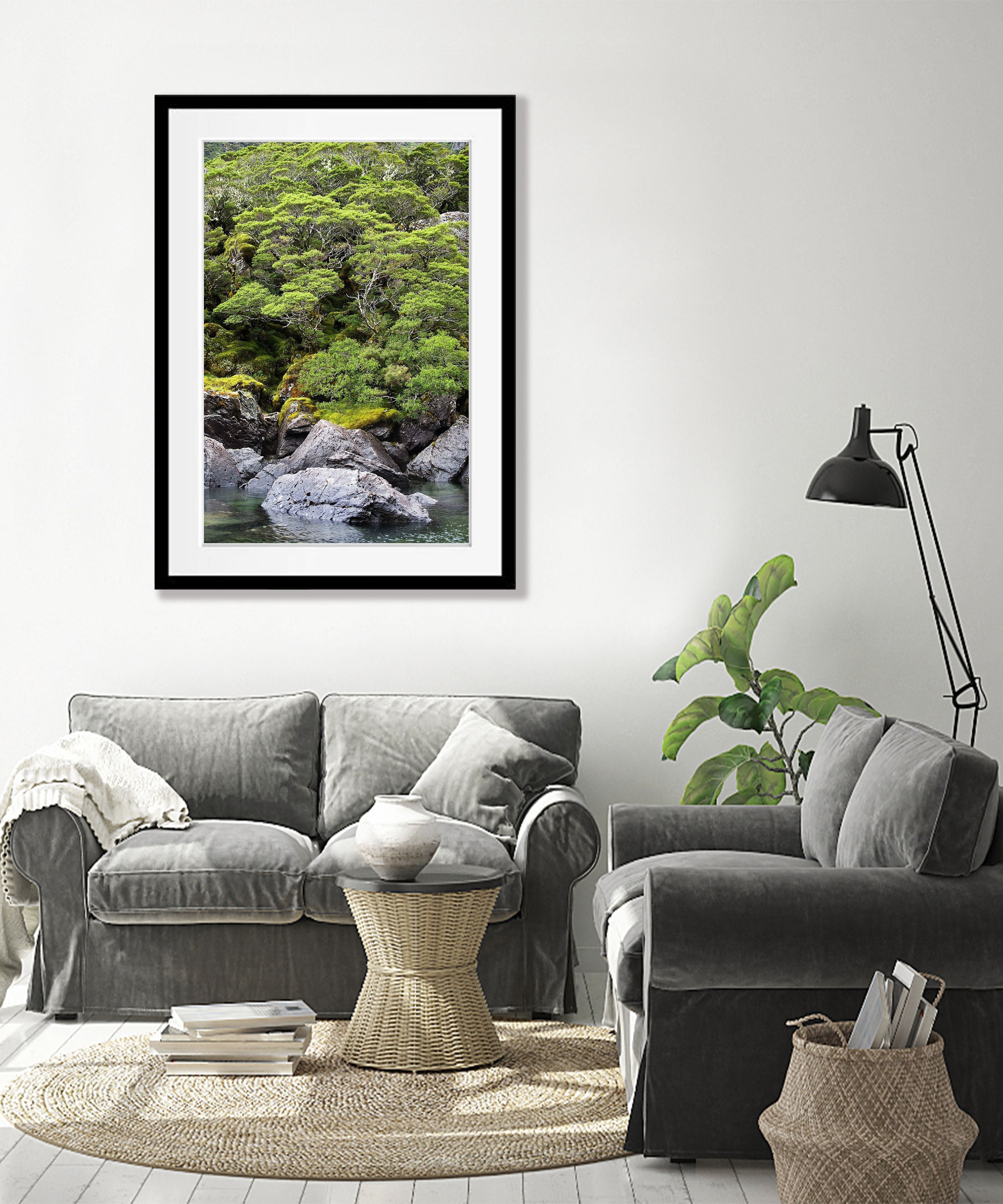 Rainforest surrounding Lake MacKenzie, Routeburn Track - New Zealand