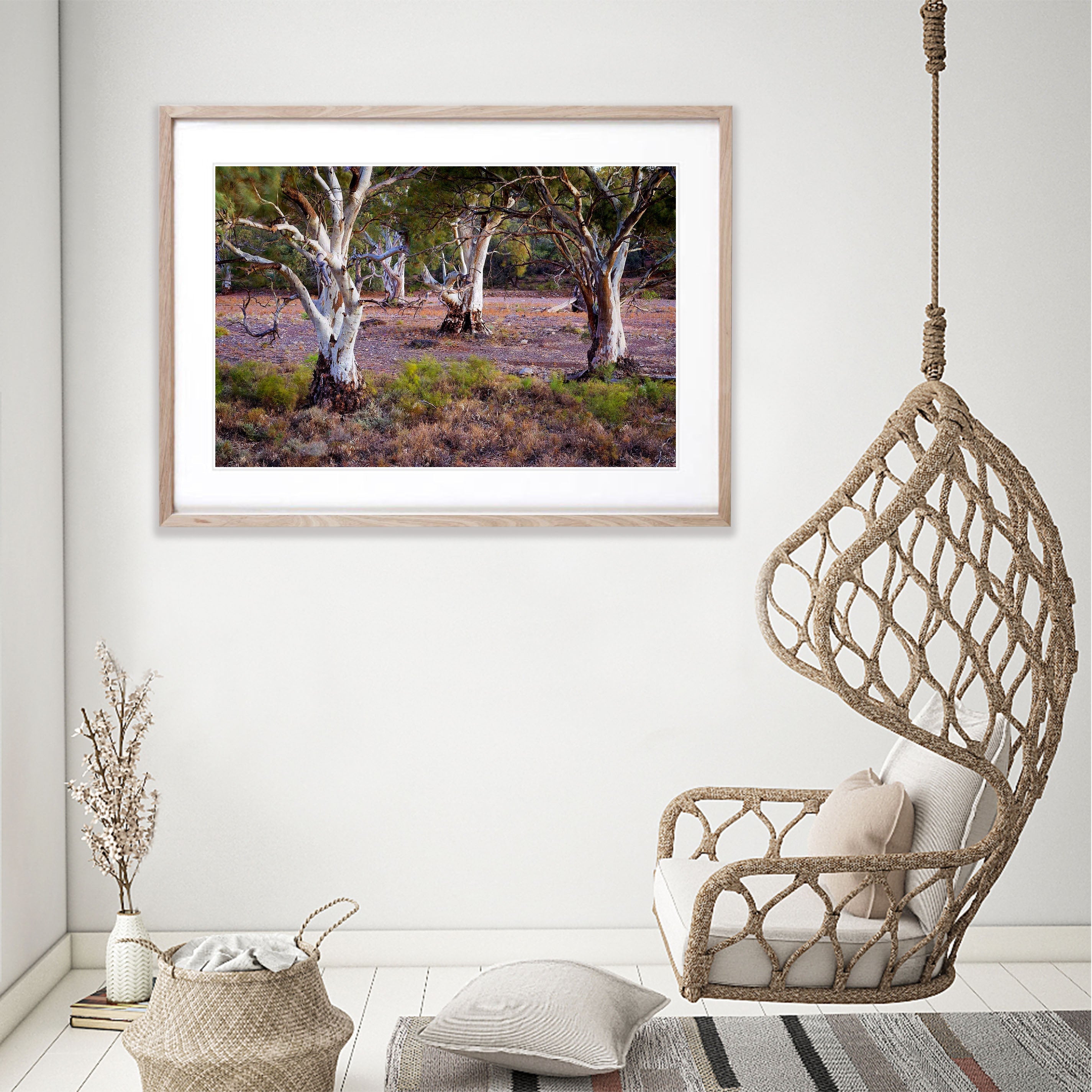 Red Gums Glow - Flinders Ranges SA