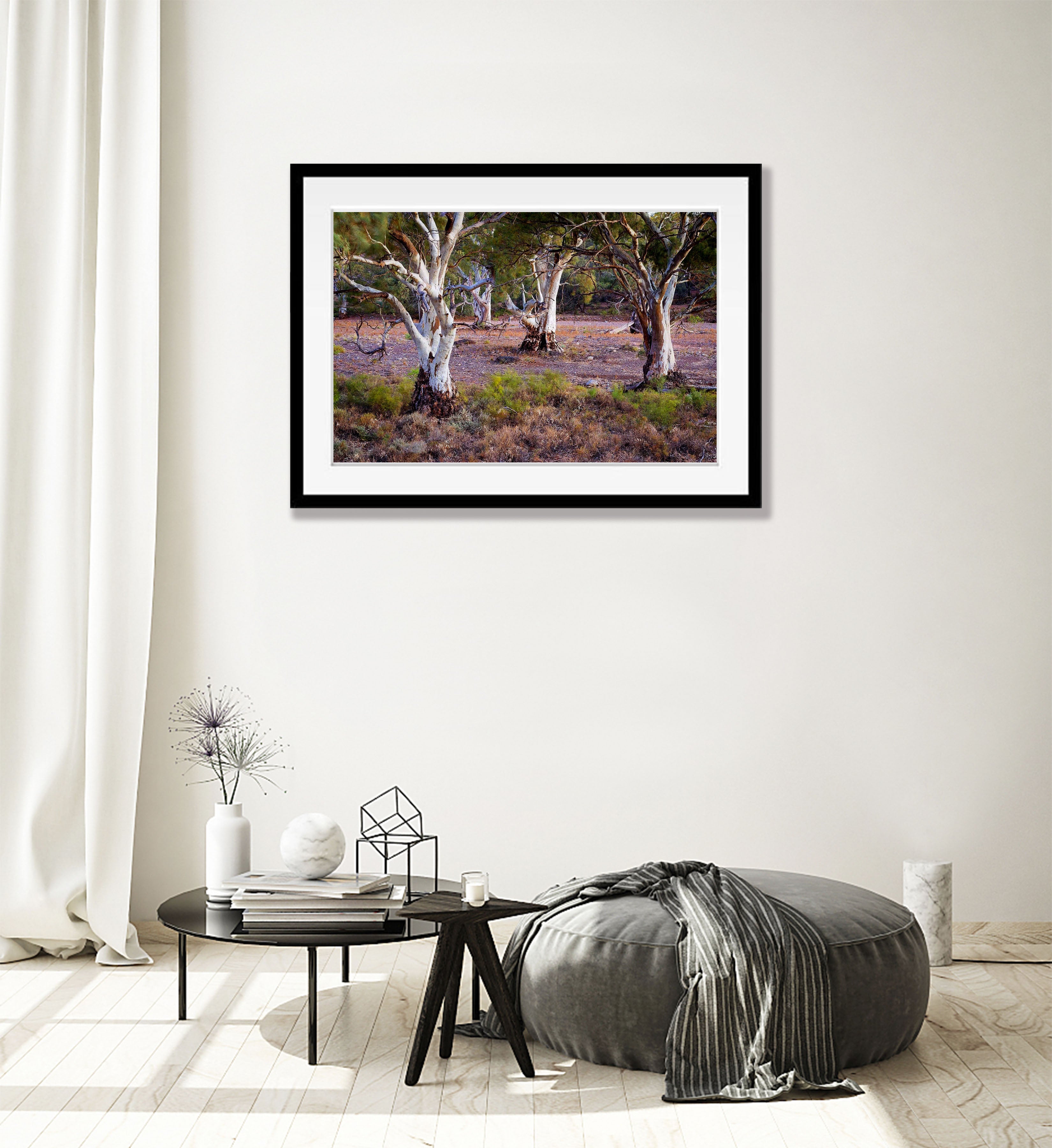 Red Gums Glow - Flinders Ranges SA