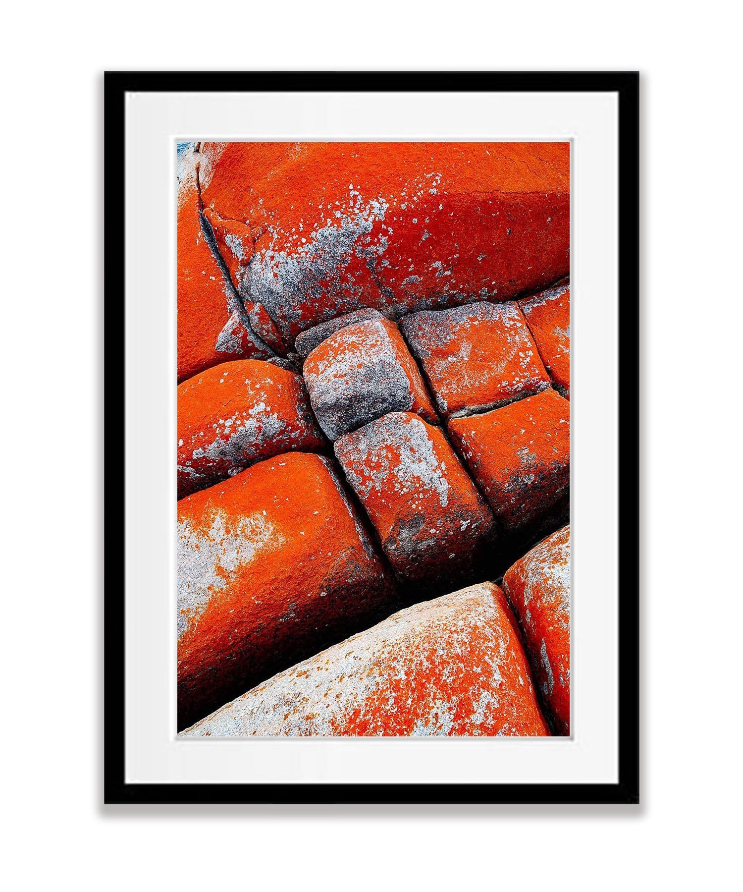 Red Lichen on rock, Bay of Fires