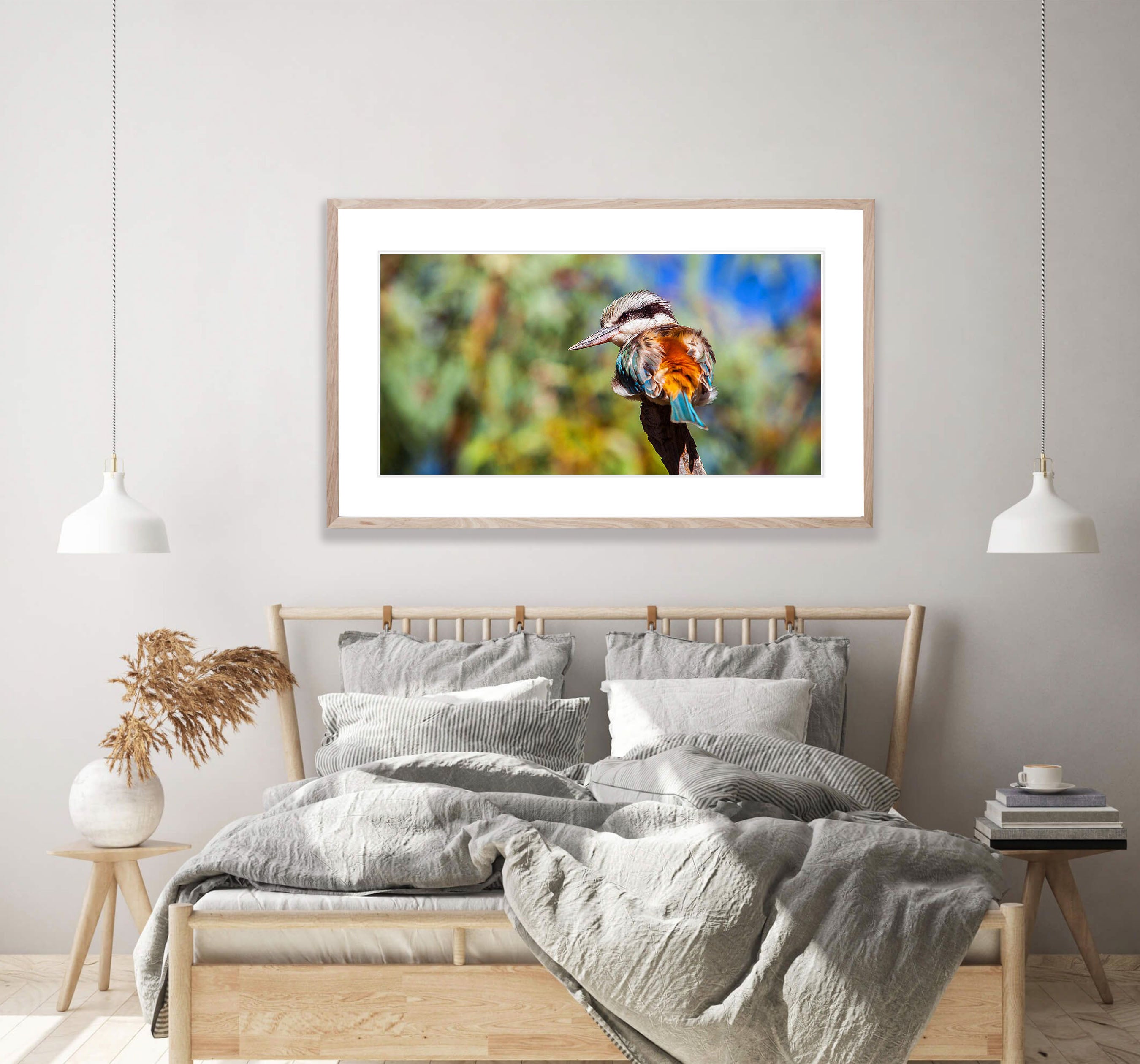 Redback Kingfisher, West MacDonnell Ranges - Northern Territory