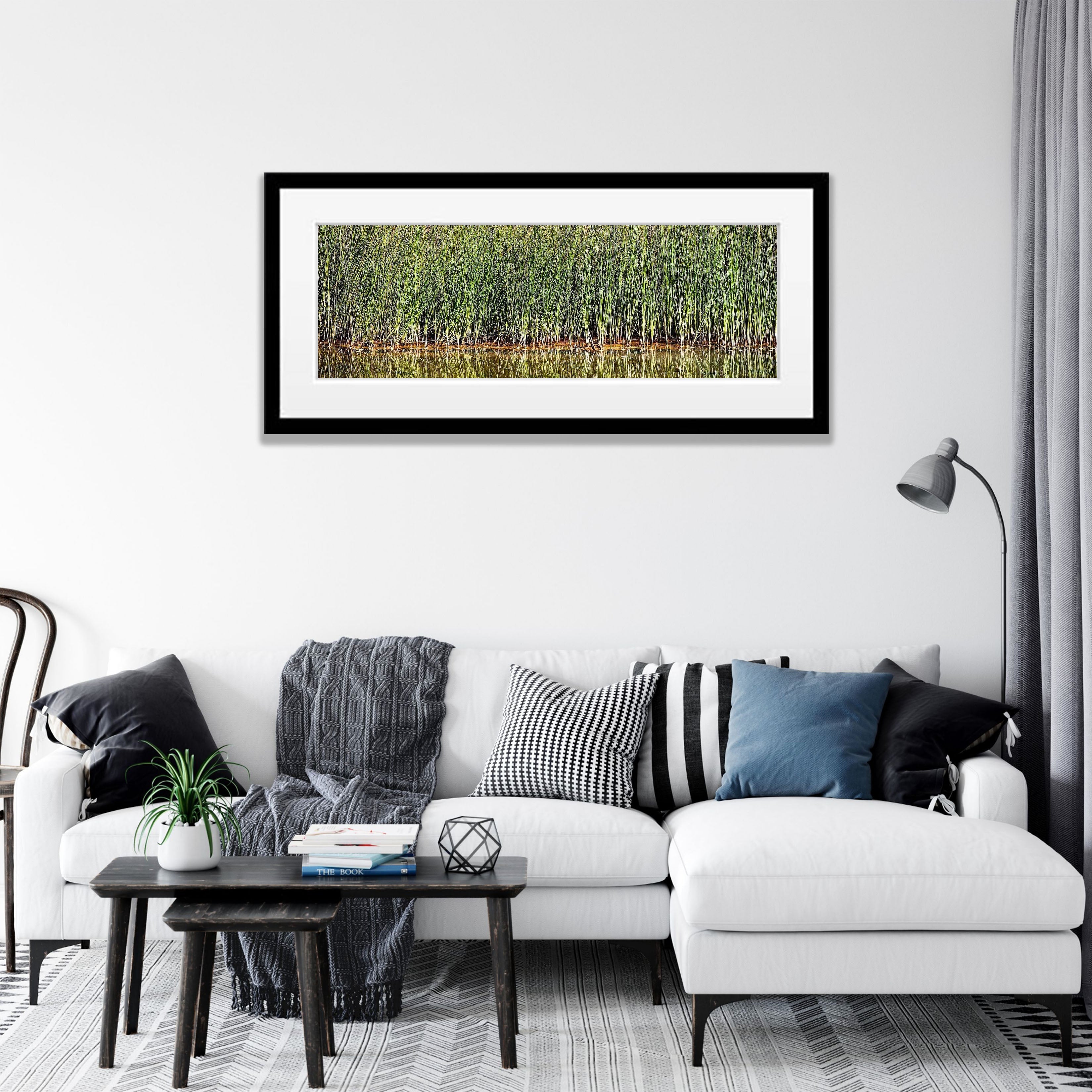 Reeds, Karijini, The Pilbara, WA