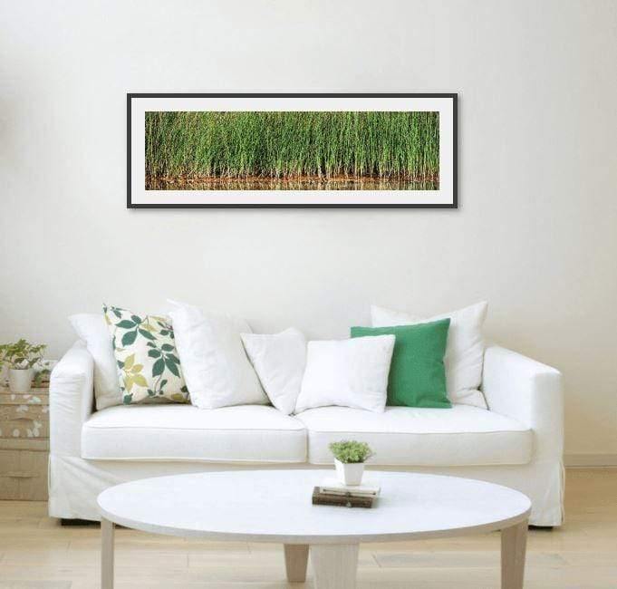 Reeds-Tom-Putt-Landscape-Prints