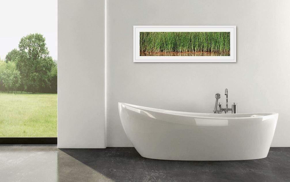 Reeds-Tom-Putt-Landscape-Prints