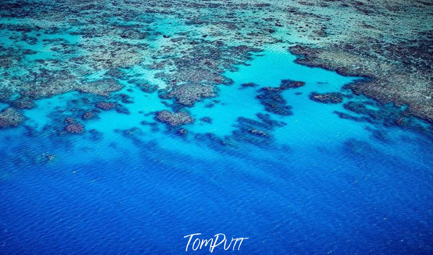 Aerial view of an ice-blue lake with green plants underwater, Reef's Edge