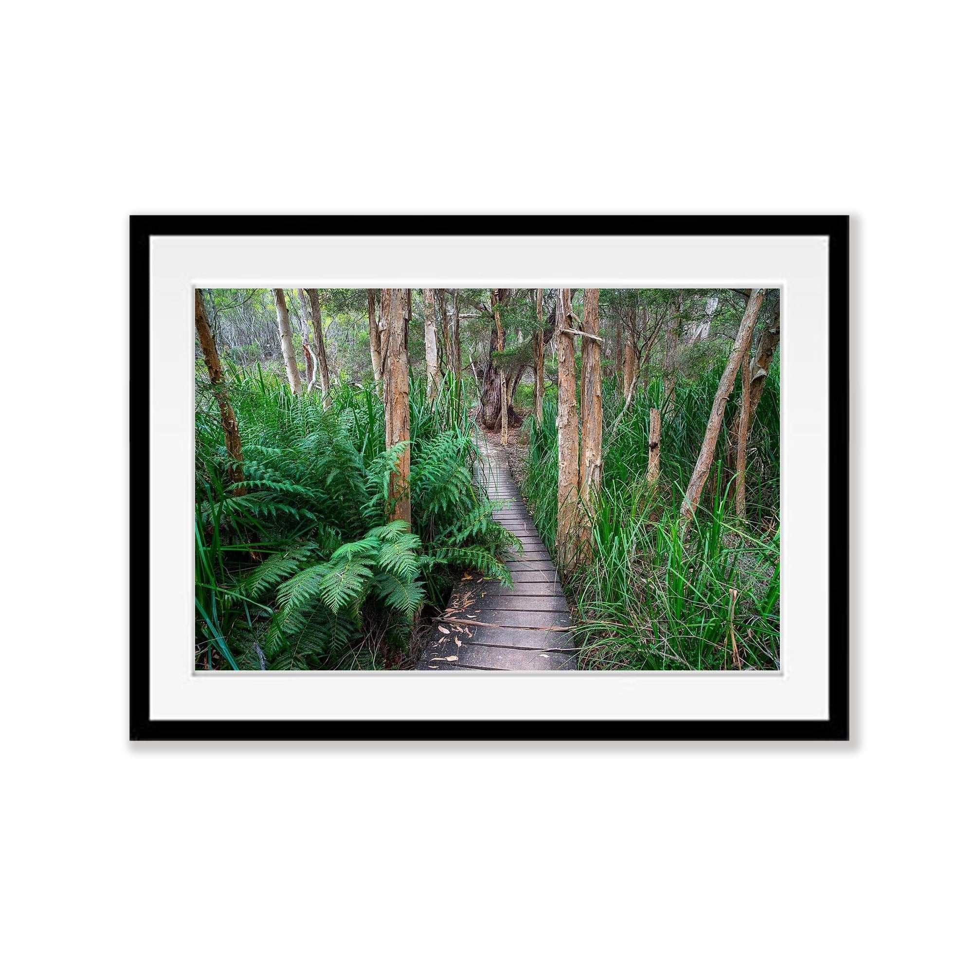 Refuge Track - Wilson's Promontory VIC