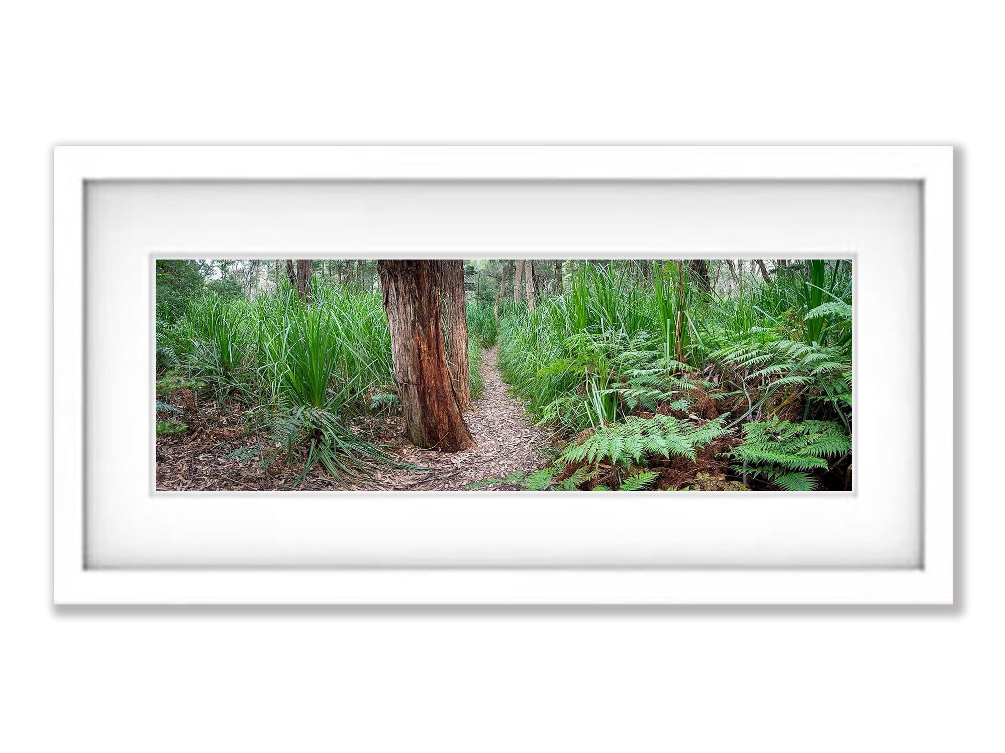 Refuge Walkway - Wilson's Promontory VIC